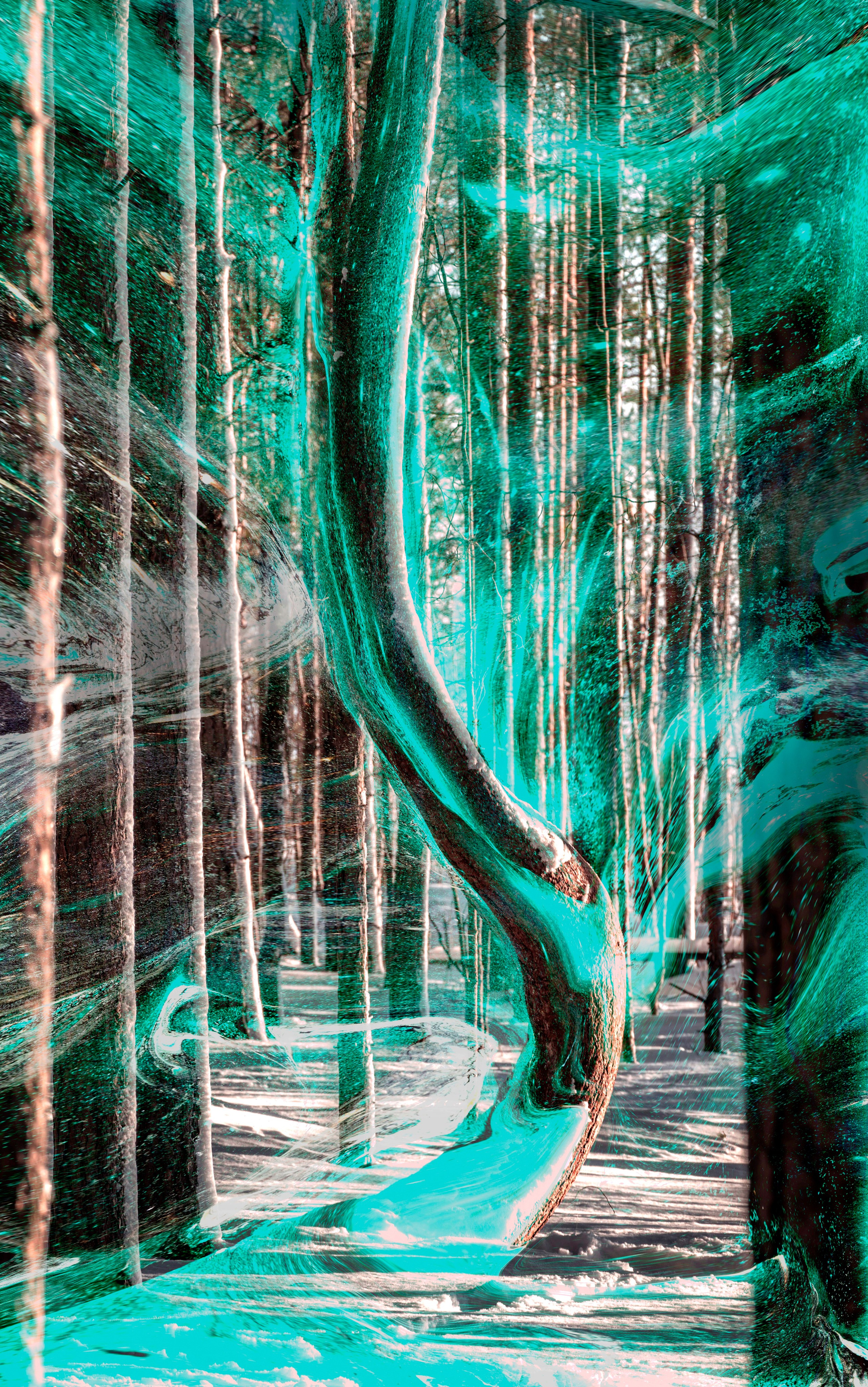 Фантасмагория. Мари Линёк-Стельмах Фотохудожник Санкт-Петербург/Урал