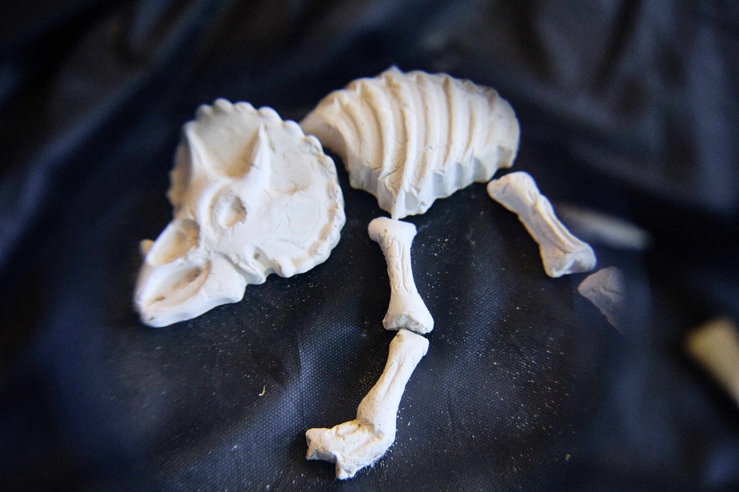 Саша — 5 лет. Репортажный фотограф в Москве Константин Дерягин