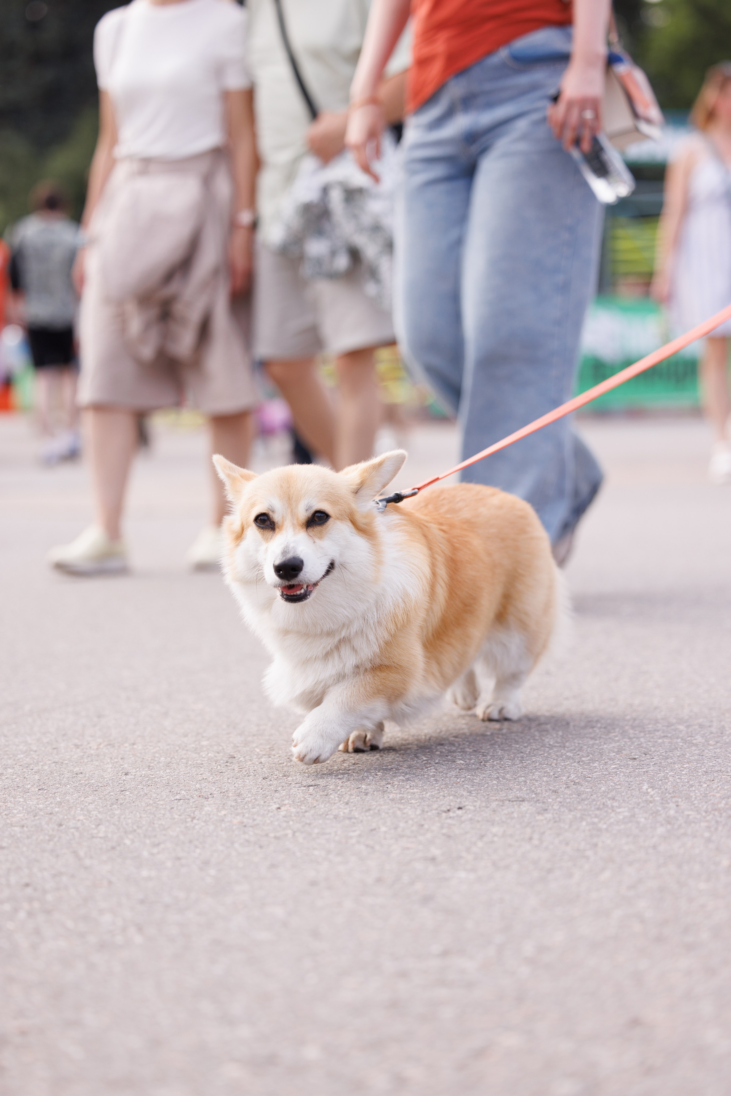 PetShopDays2026. Фотограф Александр Заломаев