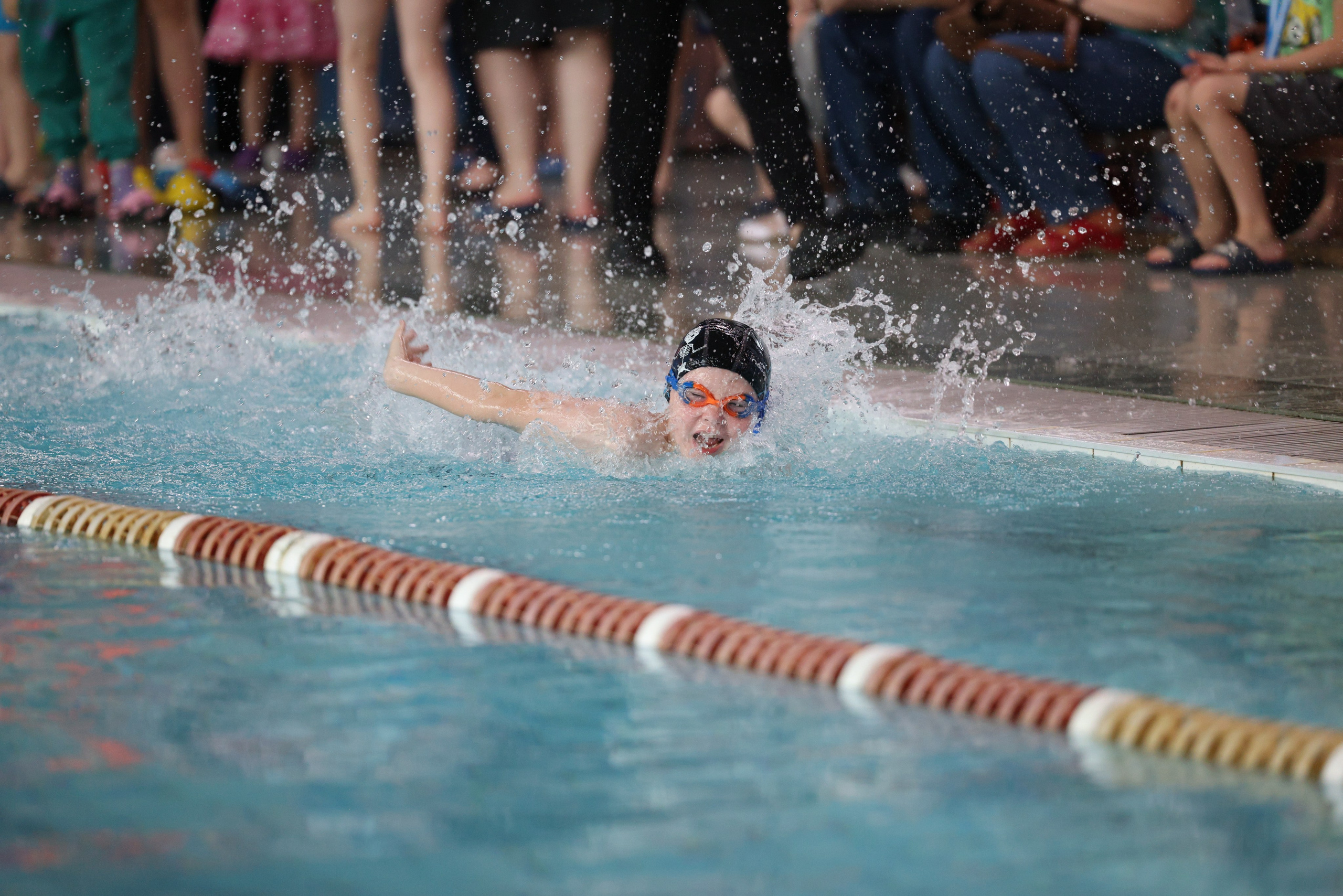 Веселый дельфин. Плавание. Дети 8-9 лет. Фотограф Александр Заломаев