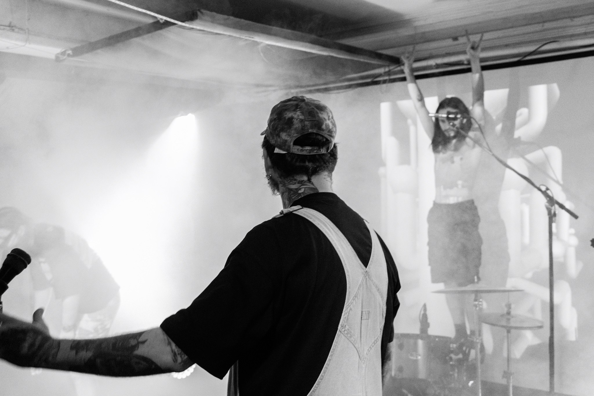 Змееед, Apodemus, 20.12.25, TAGO)))MAGO)))