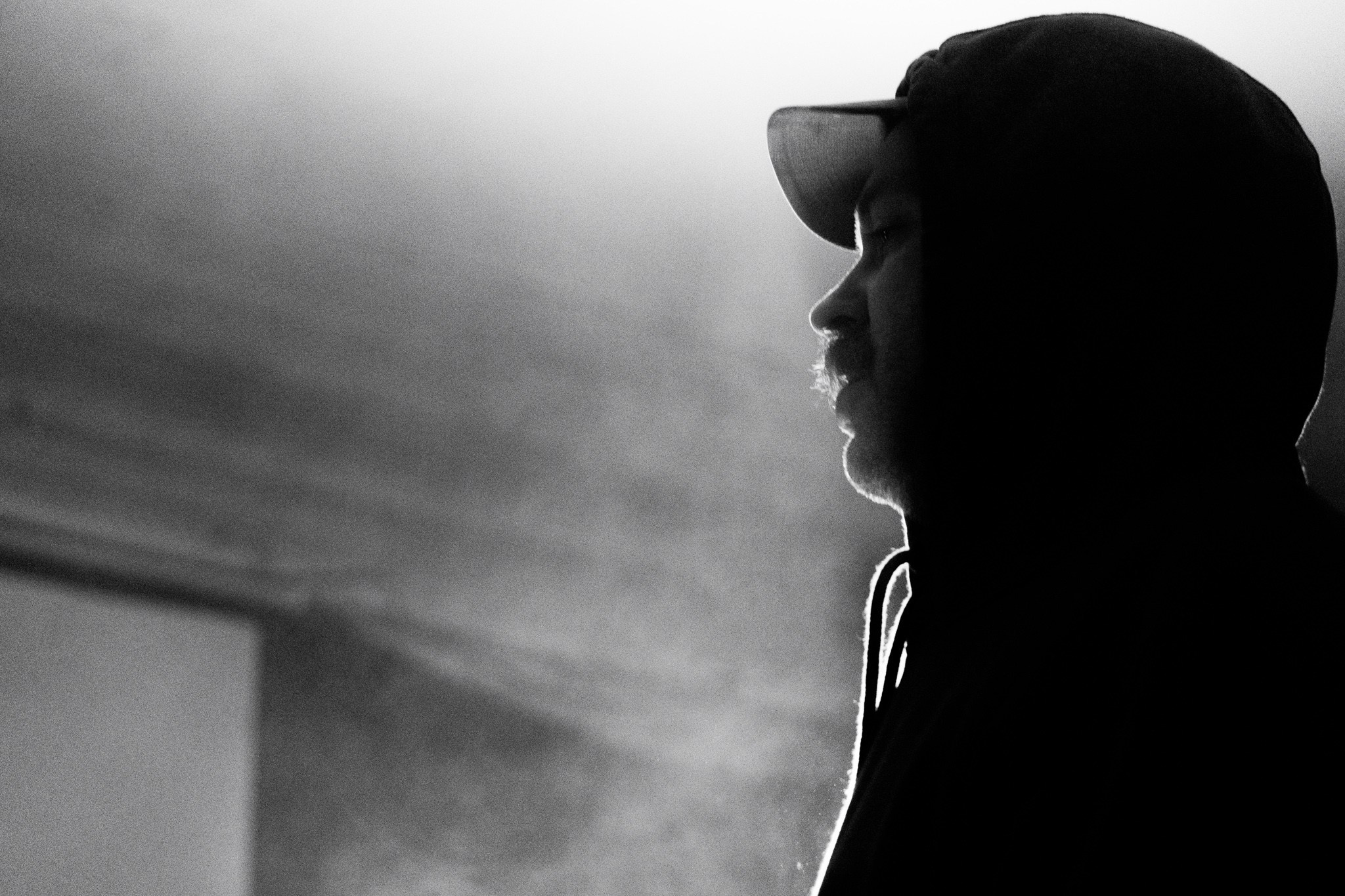 Змееед, Apodemus, 20.12.25, TAGO)))MAGO)))