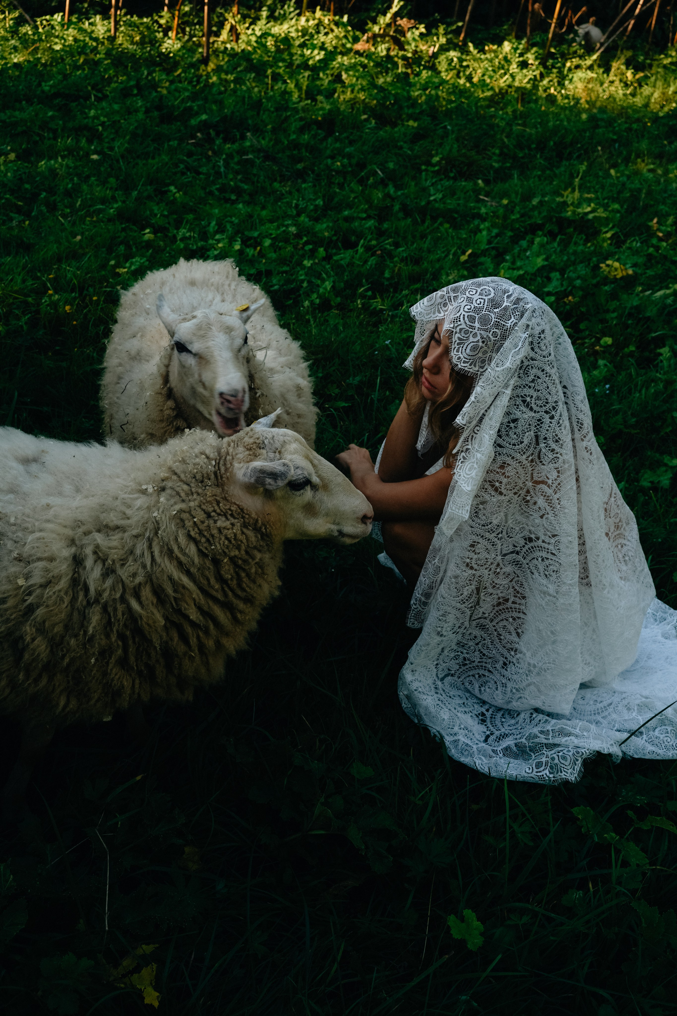 Свадьба на ферме