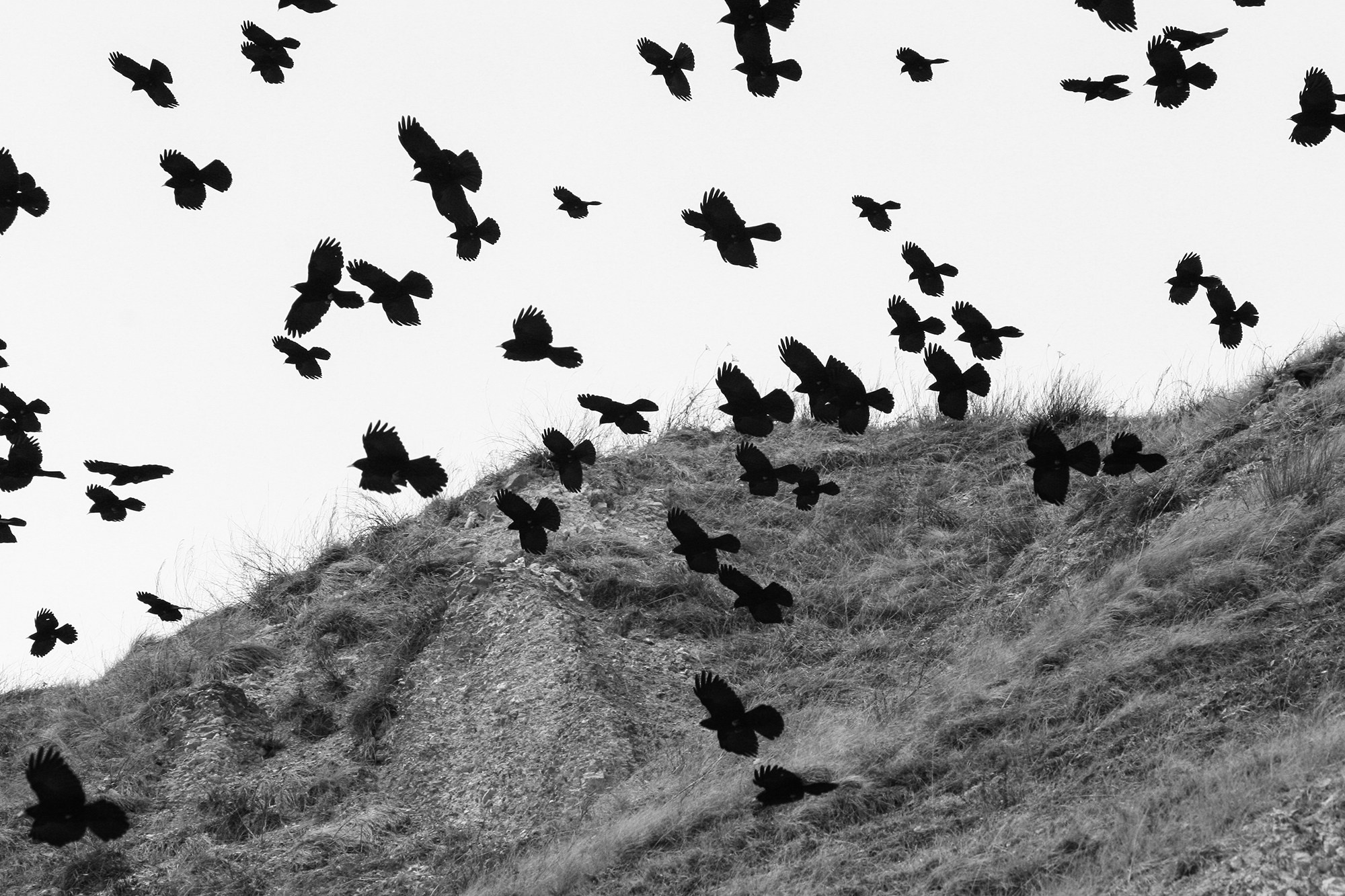 Чёрно-белые. Фотография — это воспоминания…