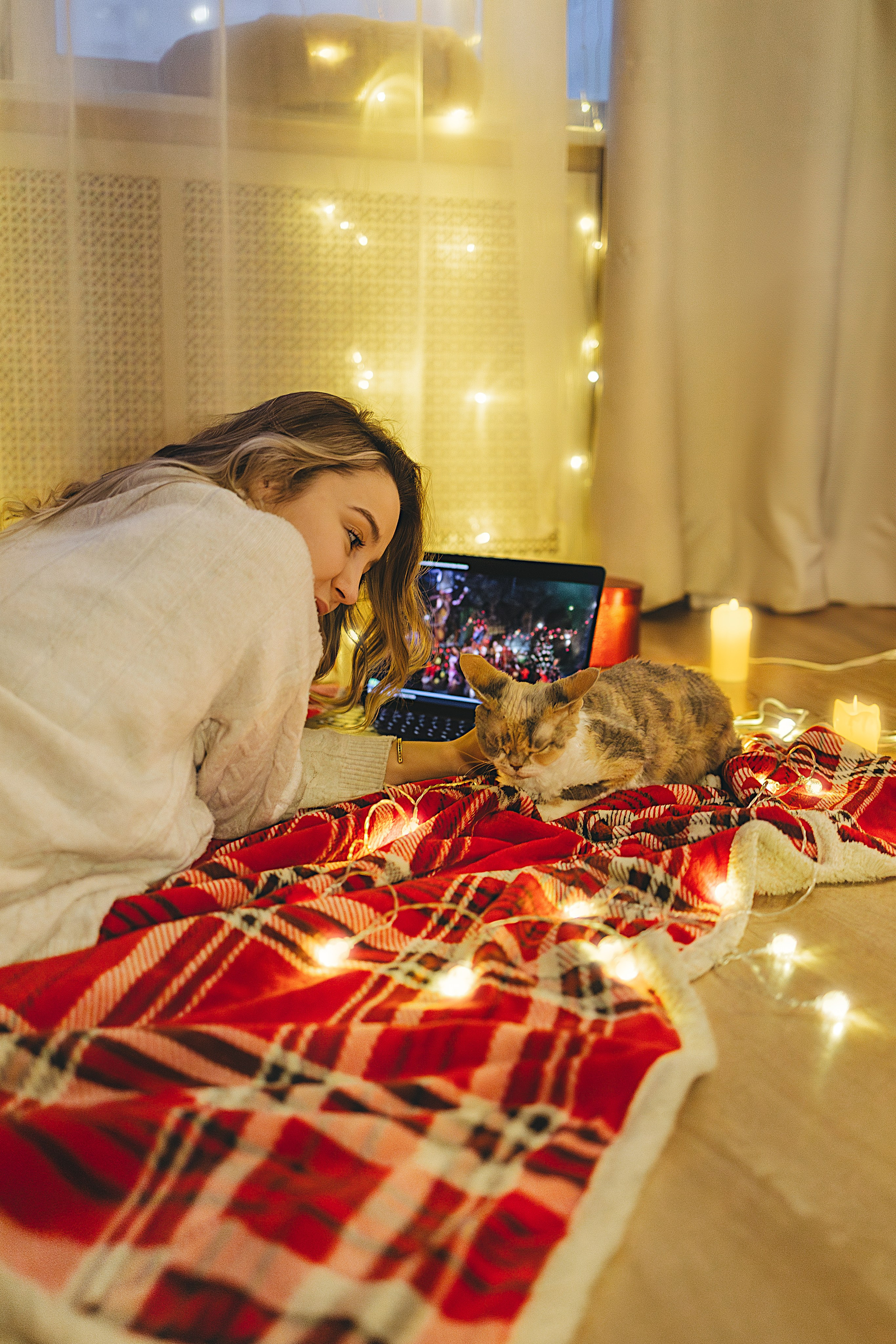 Домашняя новогодняя. Фотограф Анималист в Москве Анастасия Жучкова