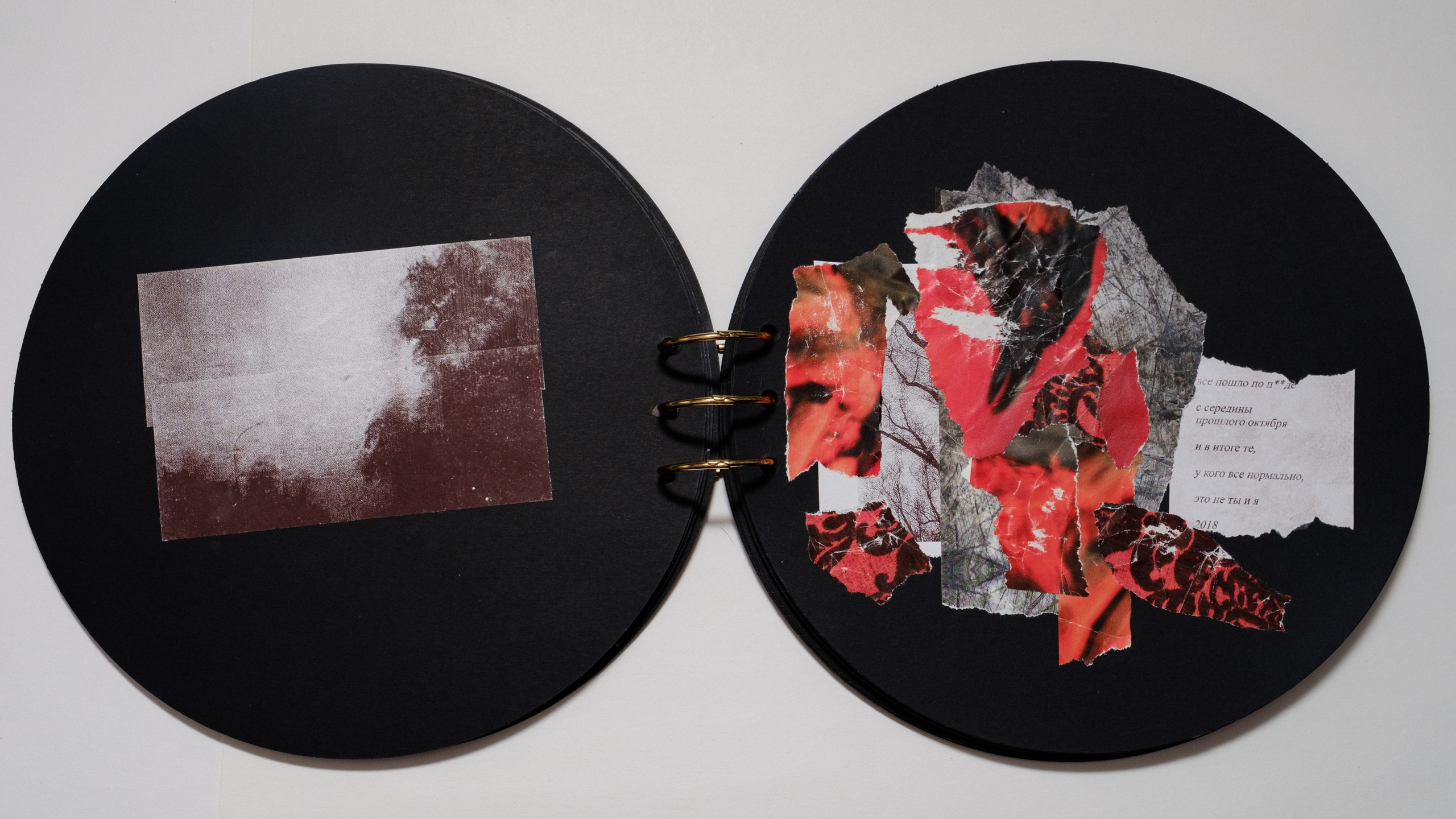 Книга Стихов Катарины Александровны. Контент-креатор Паша Норицын