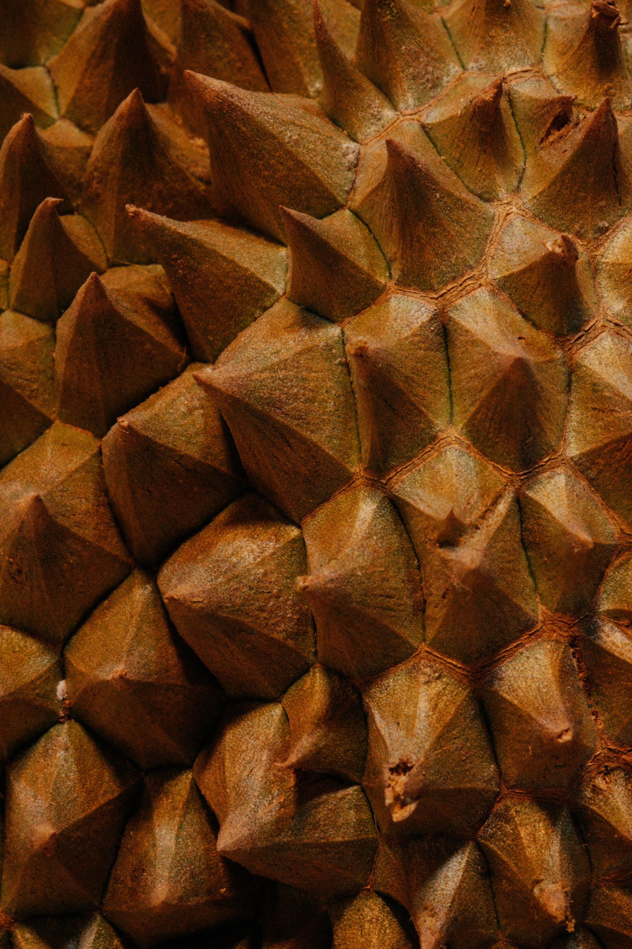 Тай, 2023. Свадебный фотограф Москва Александра Аверкова