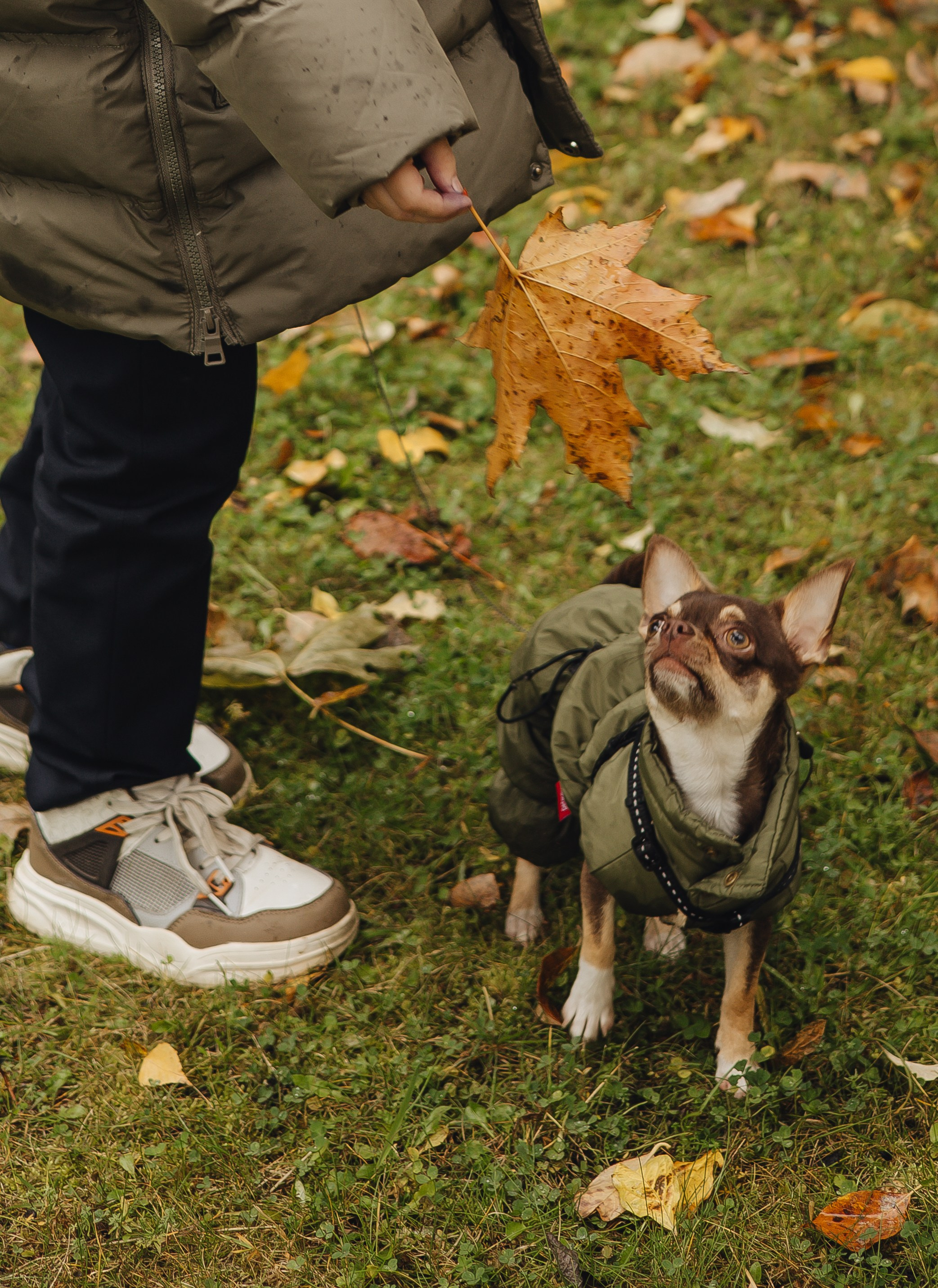 Осенние зарисовки