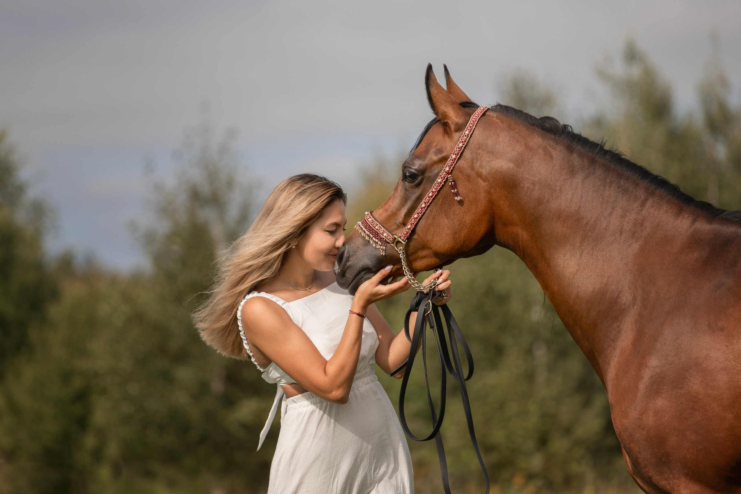 Фотосъёмка лошадей. Семейный и анималист фотограф в Переславле Анастасия Гусева