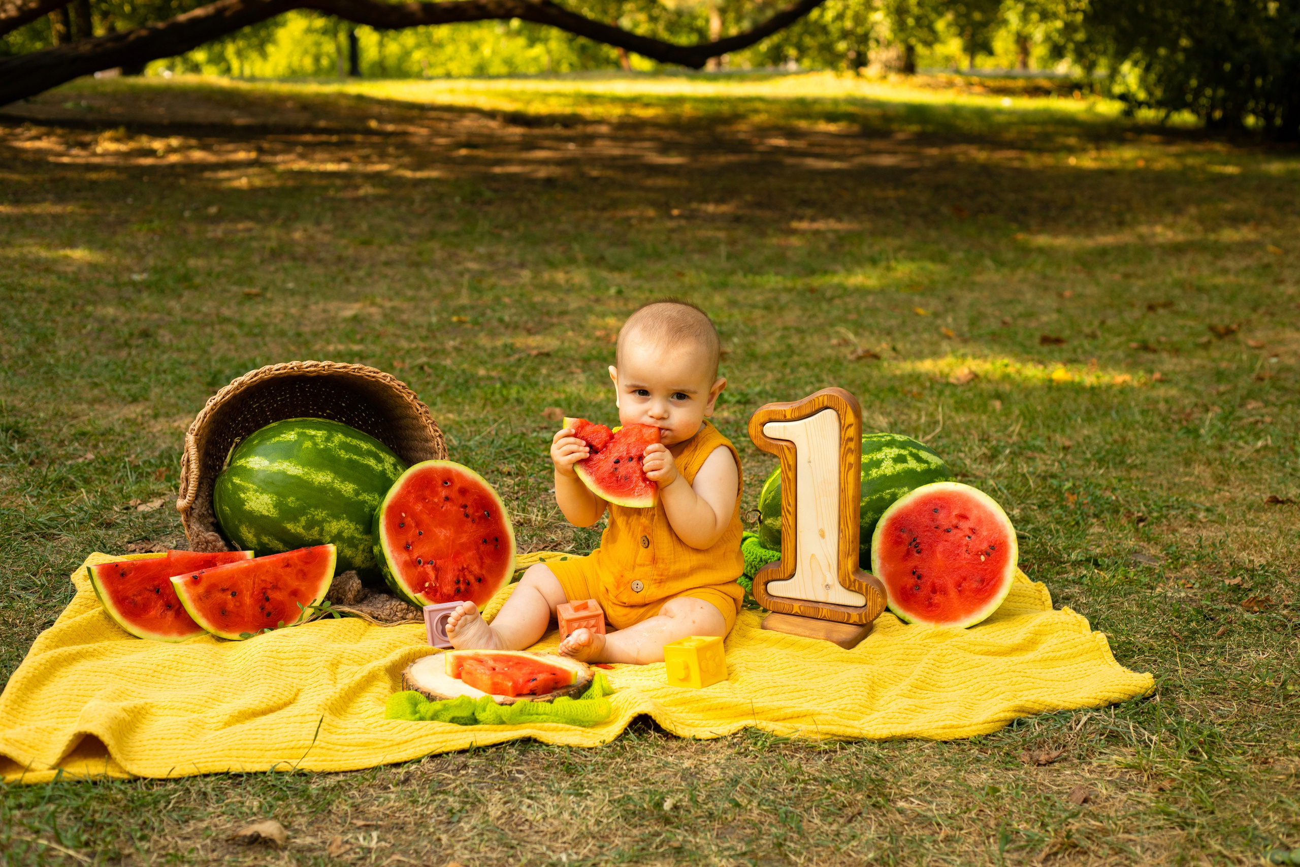 Годовасие. Семейный фотограф новорожденных Нальчик