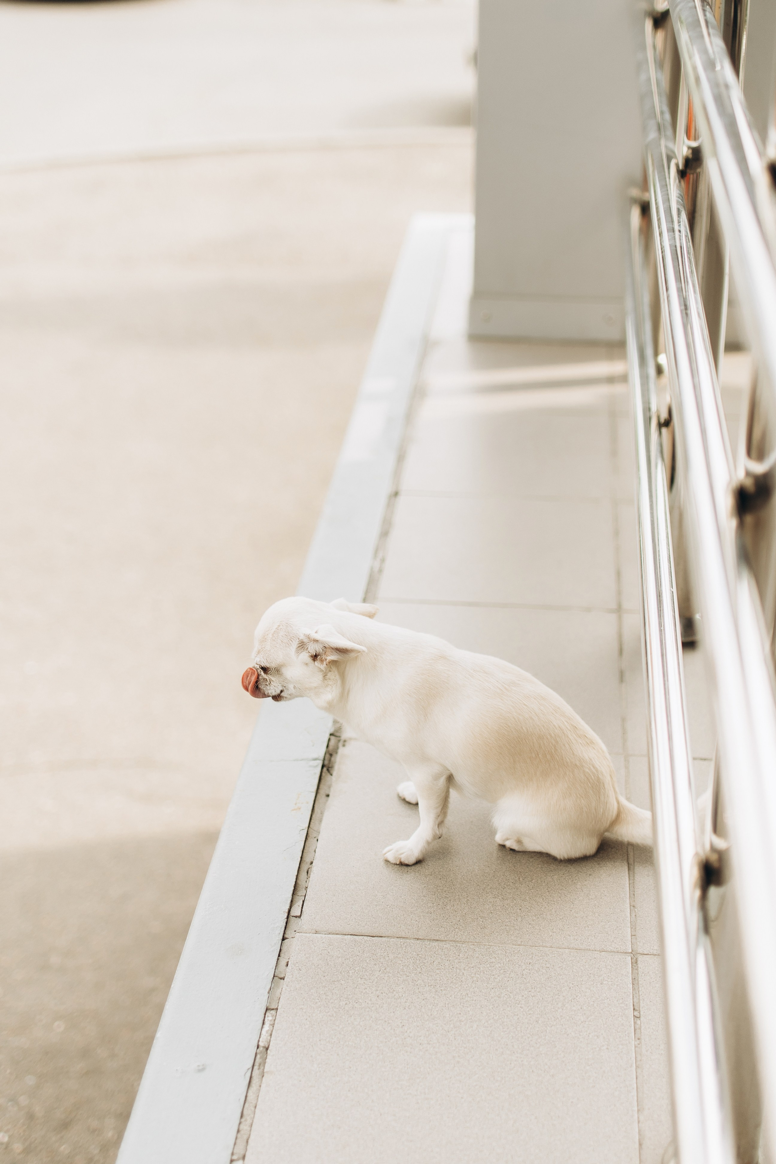 Выписка Виктории. Самый теплый фотограф в Краснодаре Рябоконь Ксения