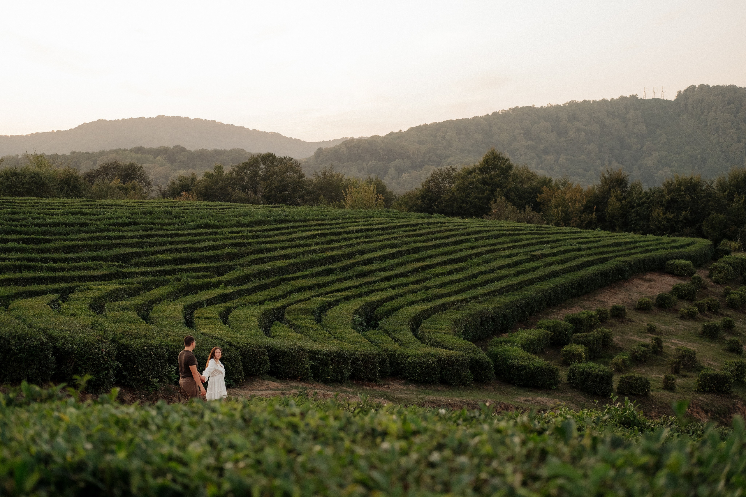 Фотосессии love story для двоих в Сочи, Сириусе и на Красной поляне. Семейный, свадебный фотограф Сочи, Адлер, Красная поляна