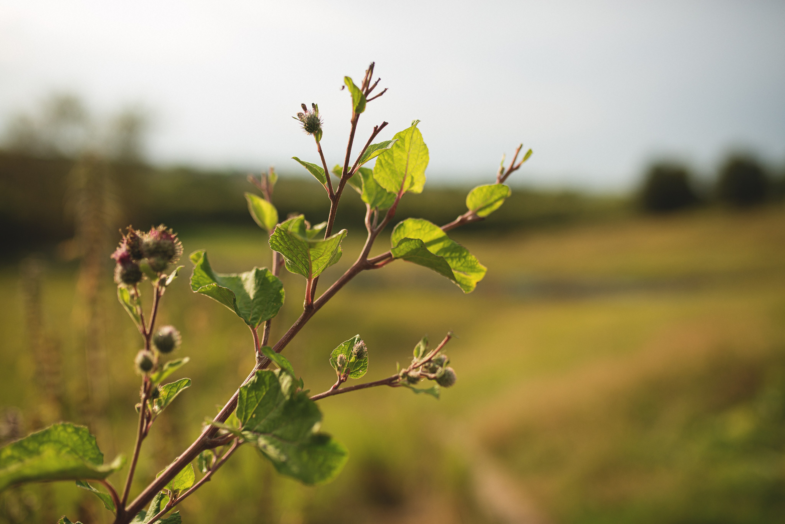 Костя, Яна и Арсений. Фотограф Таинств Крещения и Венчания в г. Курске