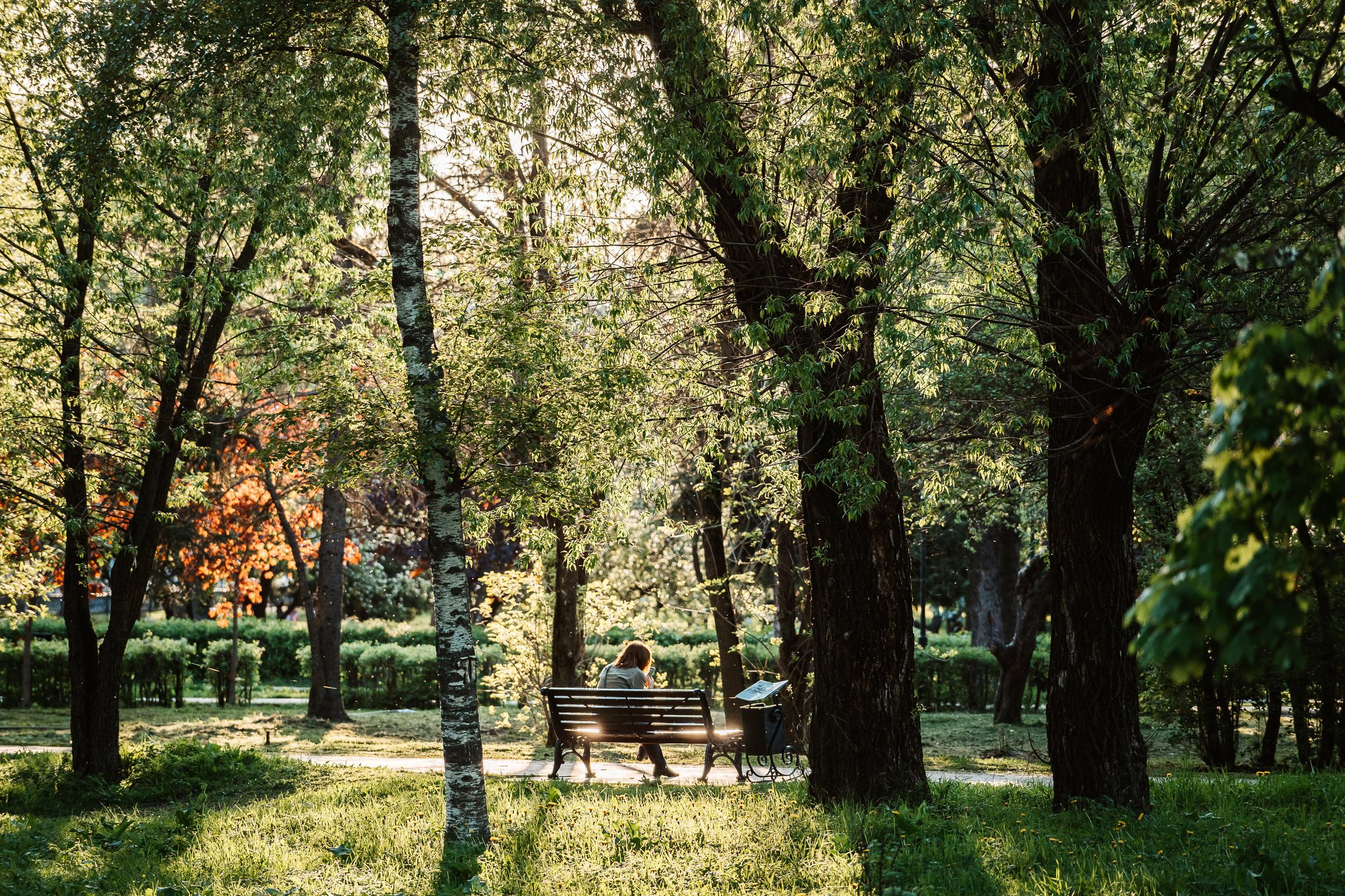 Фотограф Леонид Смирнов | Репортажи | Автосъемки | Выпускные