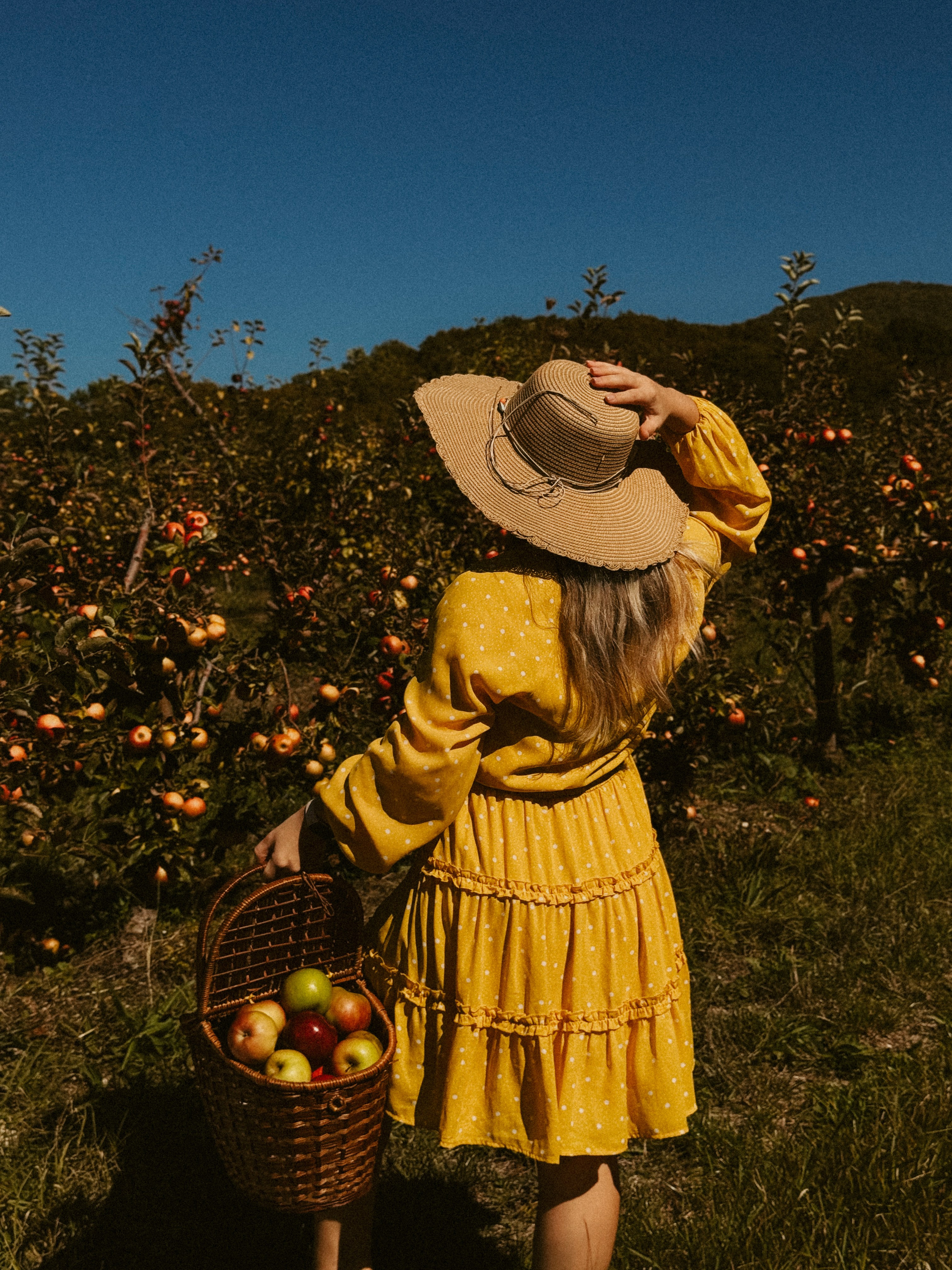 Ксюша Яблоки Сад. Inga Simonova | Семейный и детский фотограф у моря