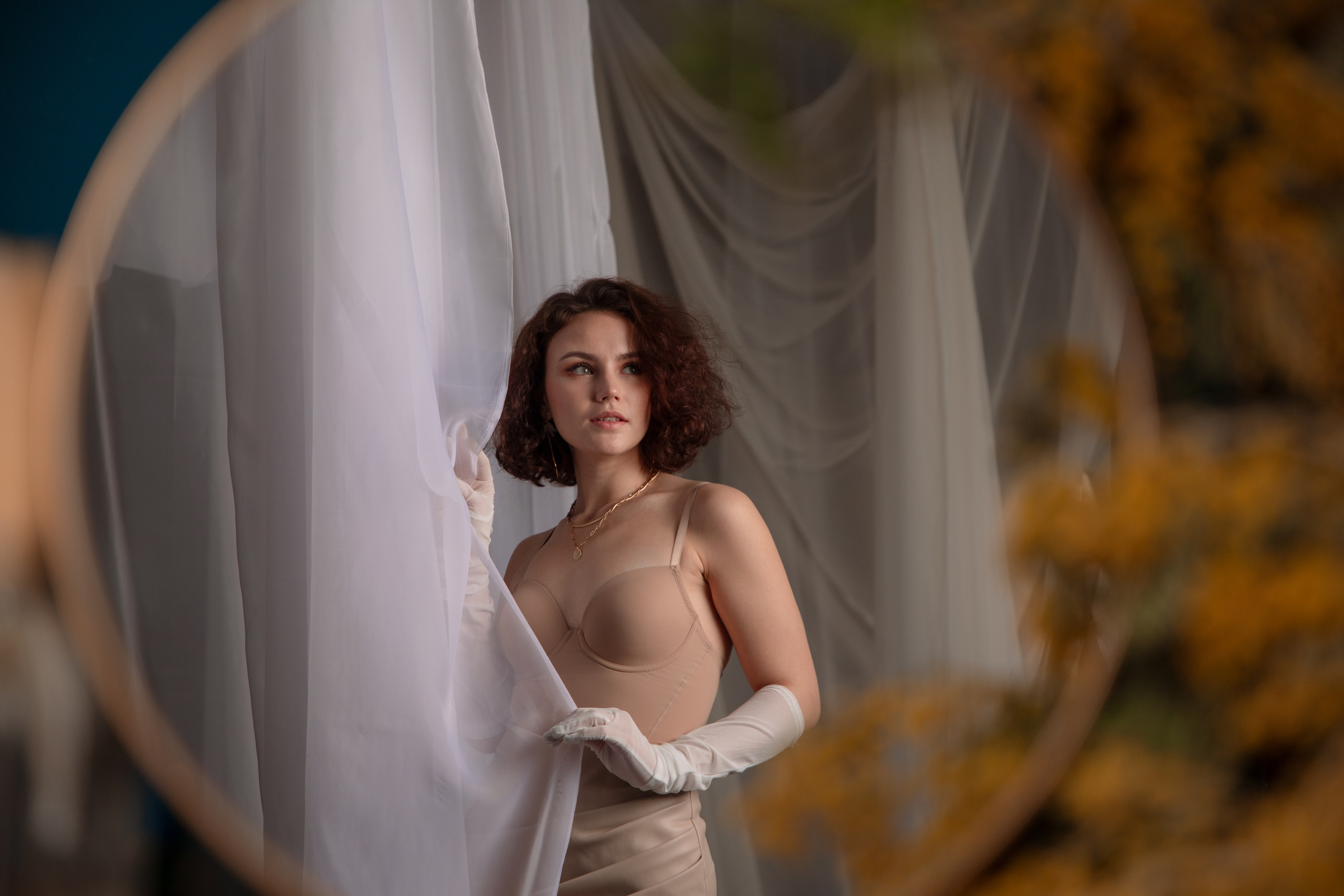 Мимозы. Фотограф Алексей Шуля — портфолио