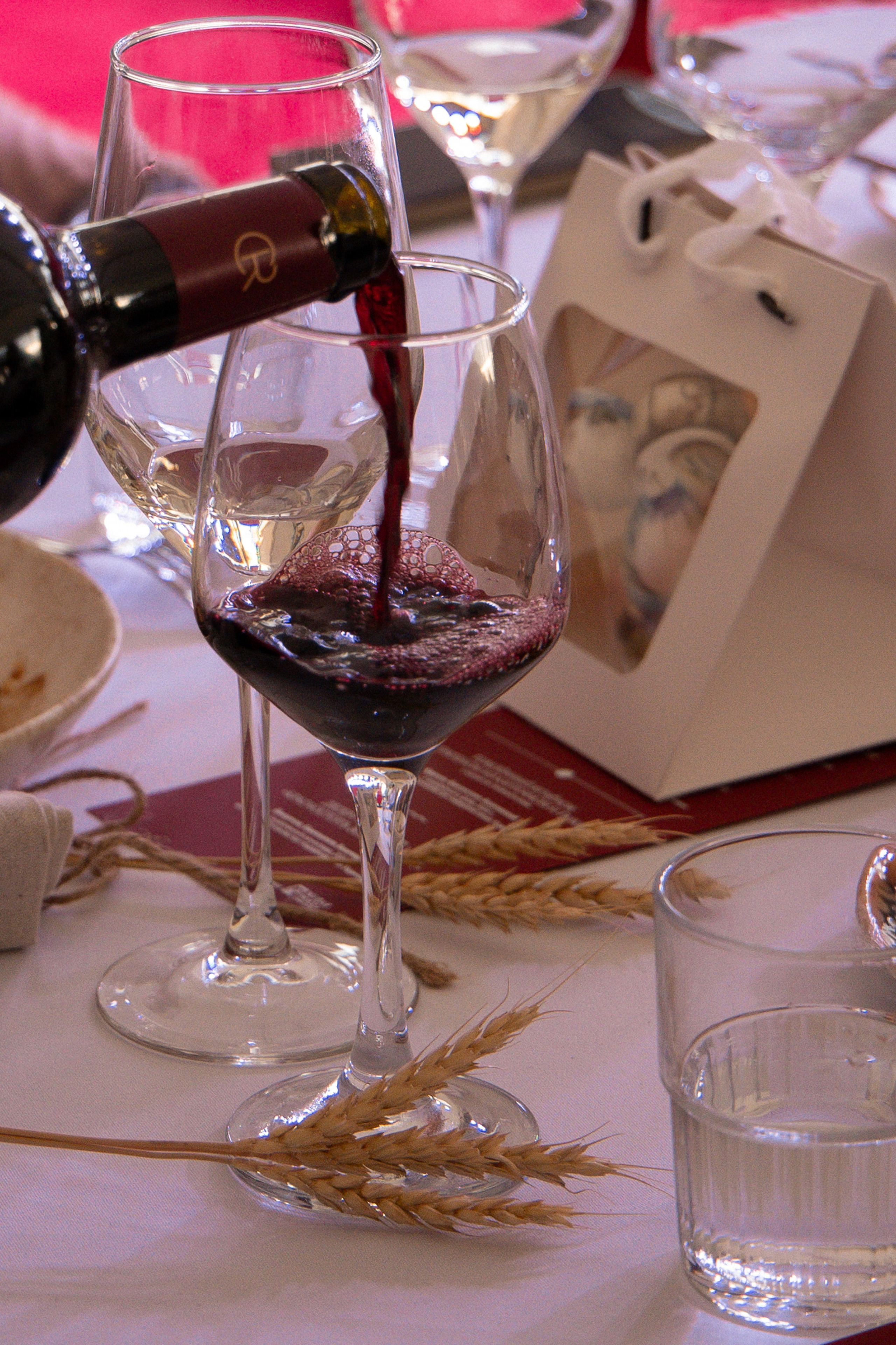 «Красностопъ Золотовский» третий винный фестиваль. Анна Рышкевич