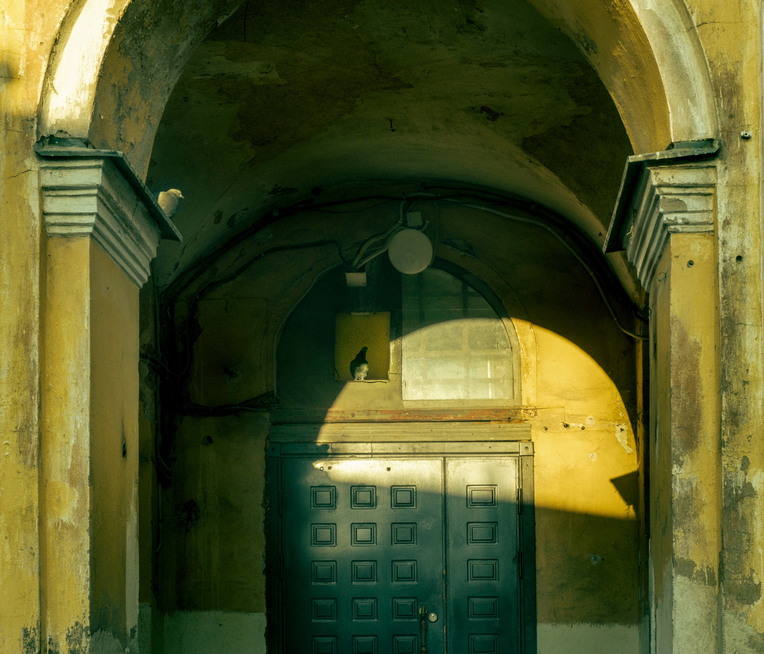 Local spb. Коллекция