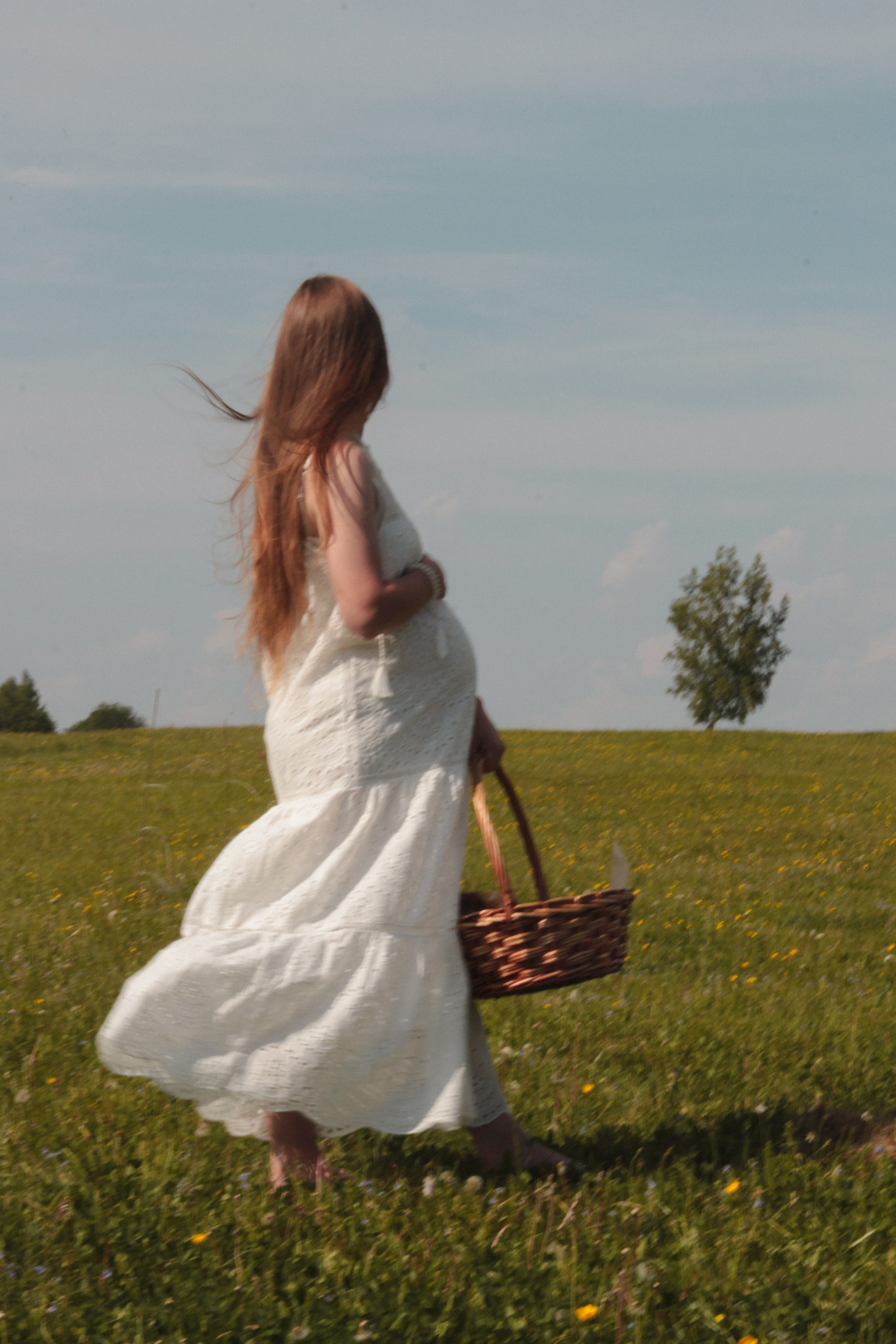 Farm photos. Главная