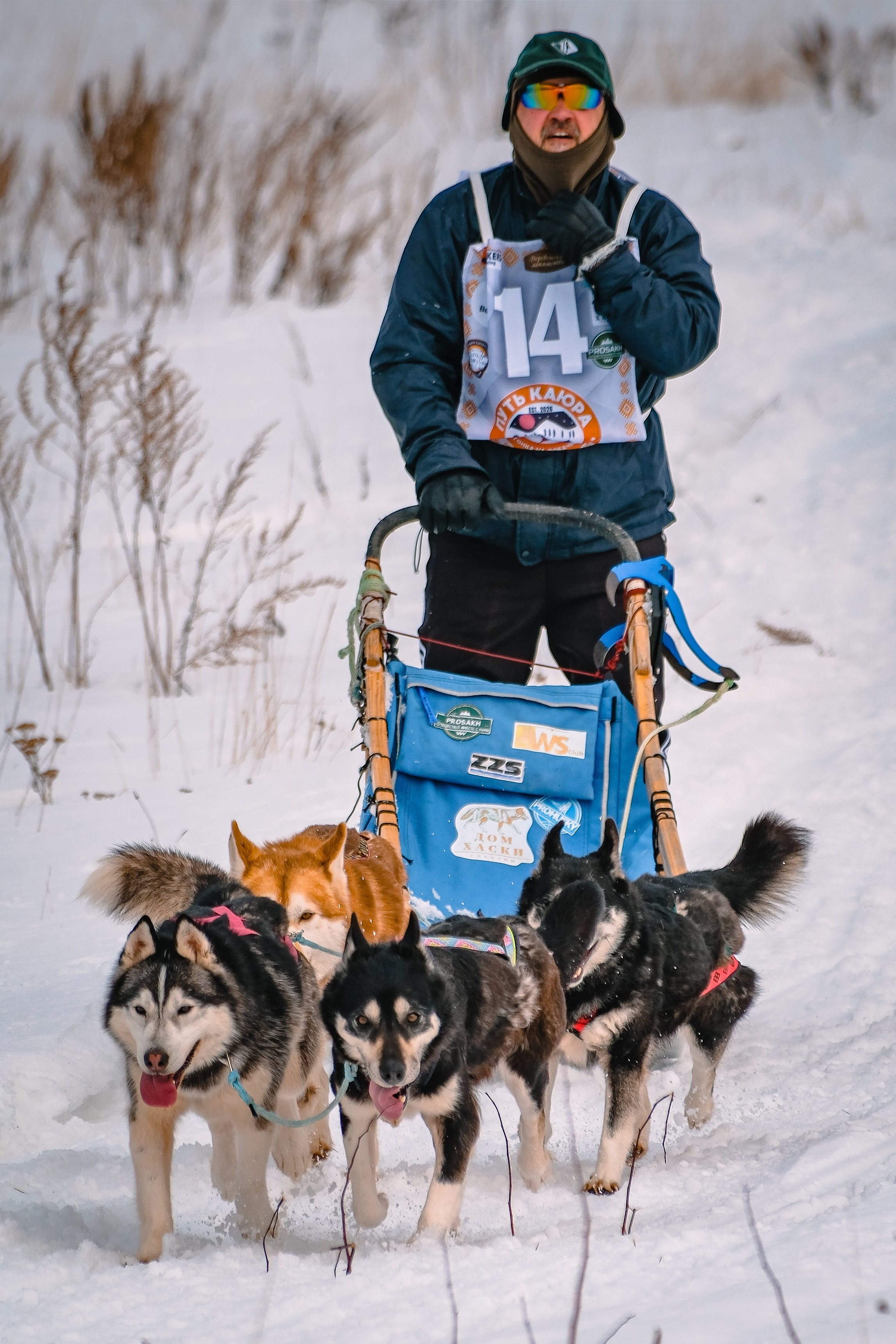 Фестиваль ездового спорта. Фотограф. г. Южно-Сахалинск. Олег Толстов