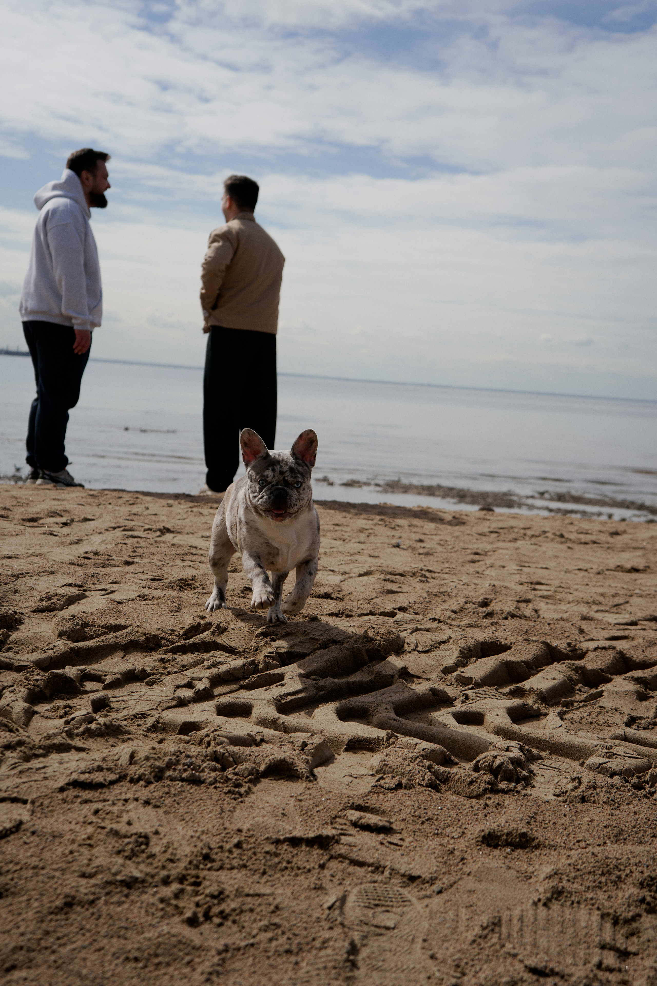 Фотосессия с собакой на заливе. Фотограф / Санкт-Петербург / Галина Никонова