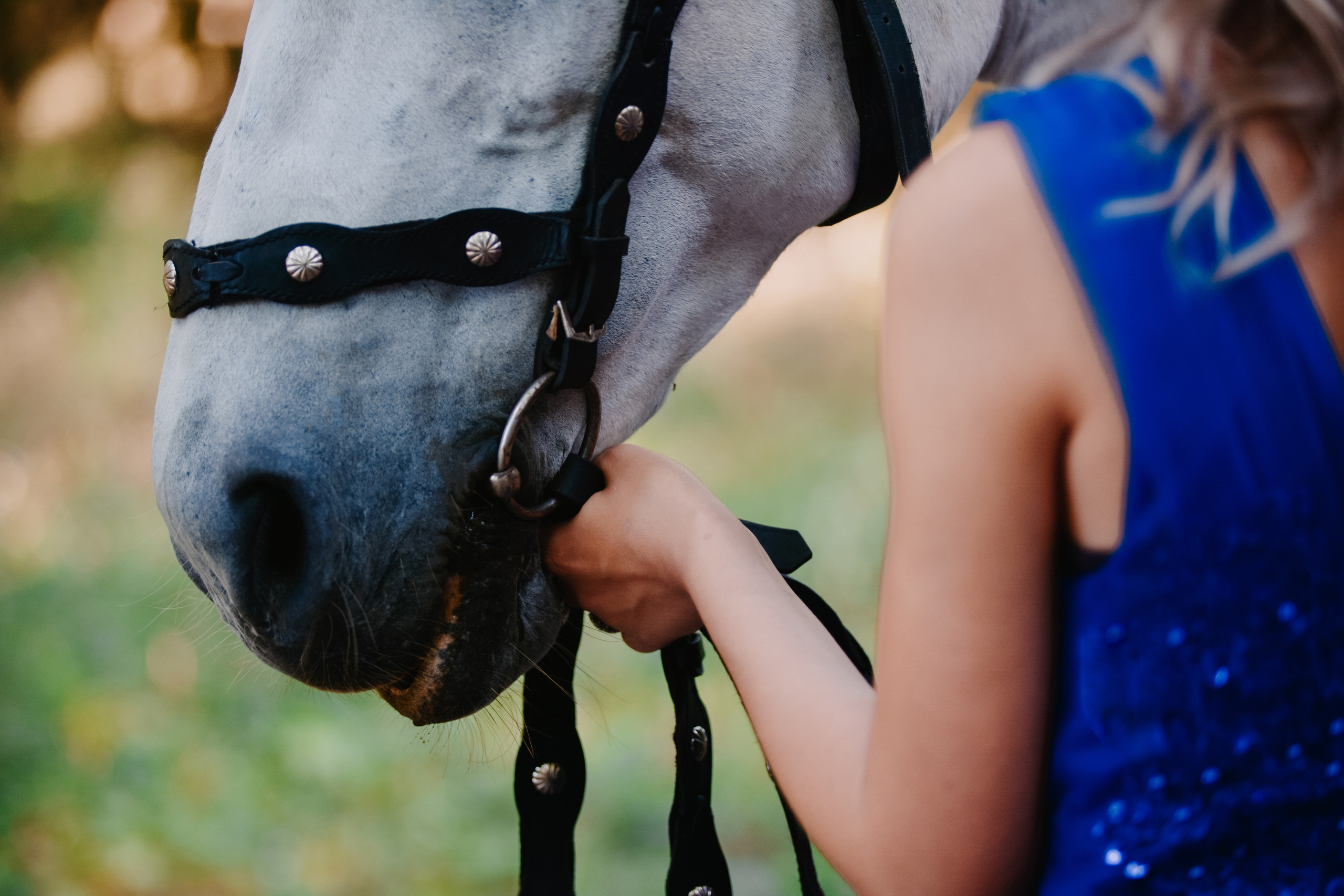 Фотосессия для Даши Ферма божья коровка. Свадебный фотограф и видеограф в городе Армавир Katerina Arts