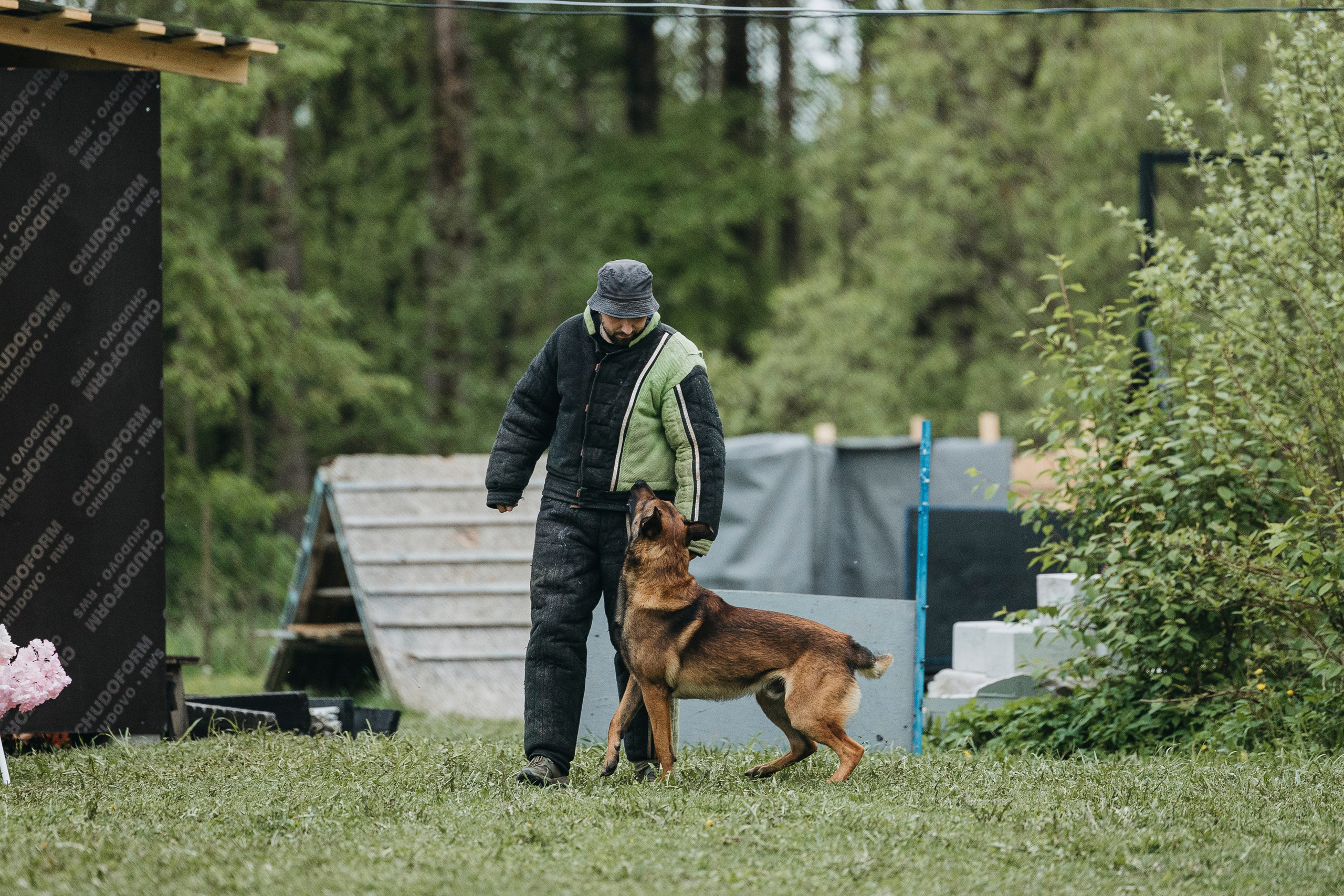 26.05.25 г. Пушкин квалификационные соревнования. Фотограф-анималист Анна Маринич