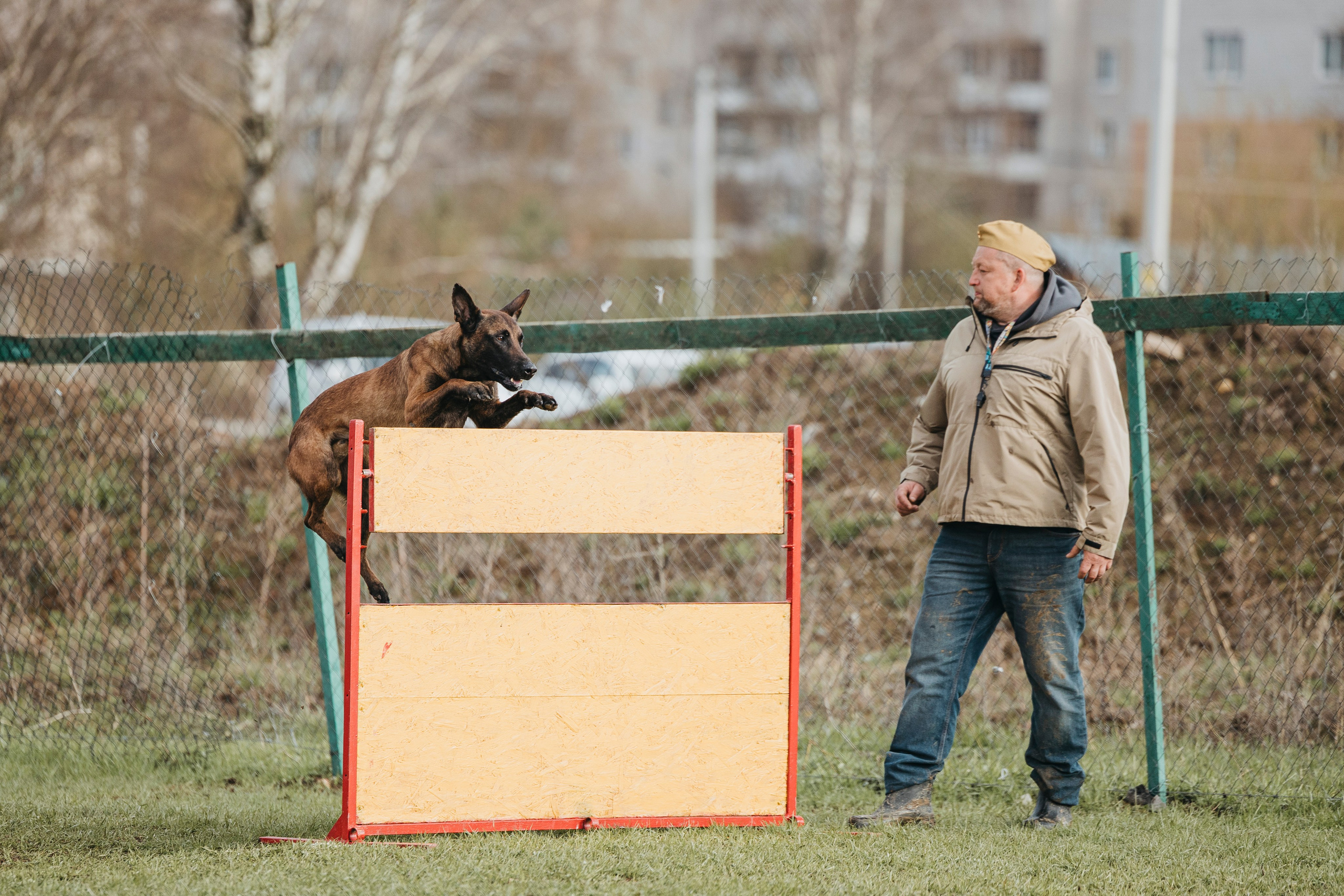 09.05.25 Вологда соревнования. Фотограф-анималист Анна Маринич