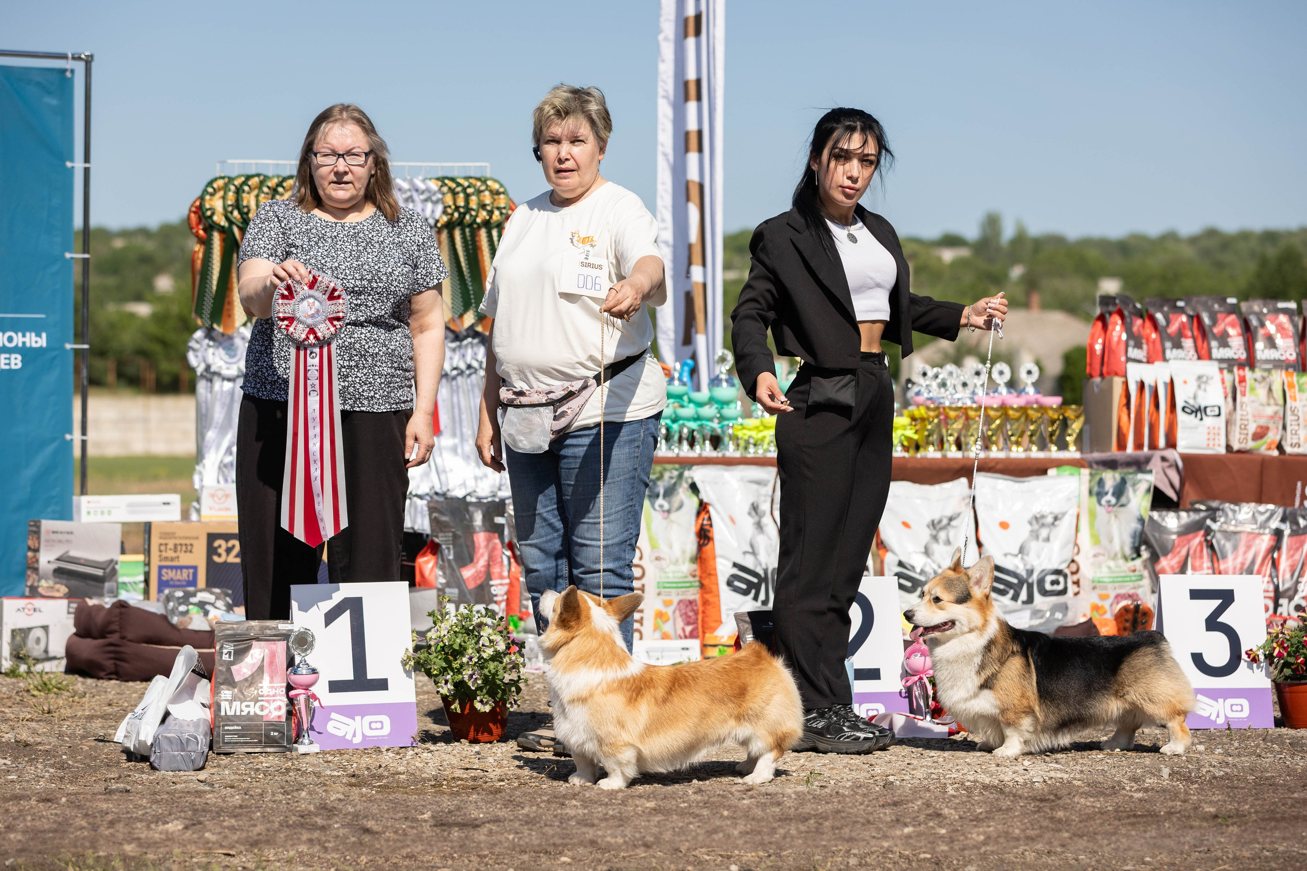 Репортаж (фото с выставок). Фотограф-АниМалист Анна Абрамова
