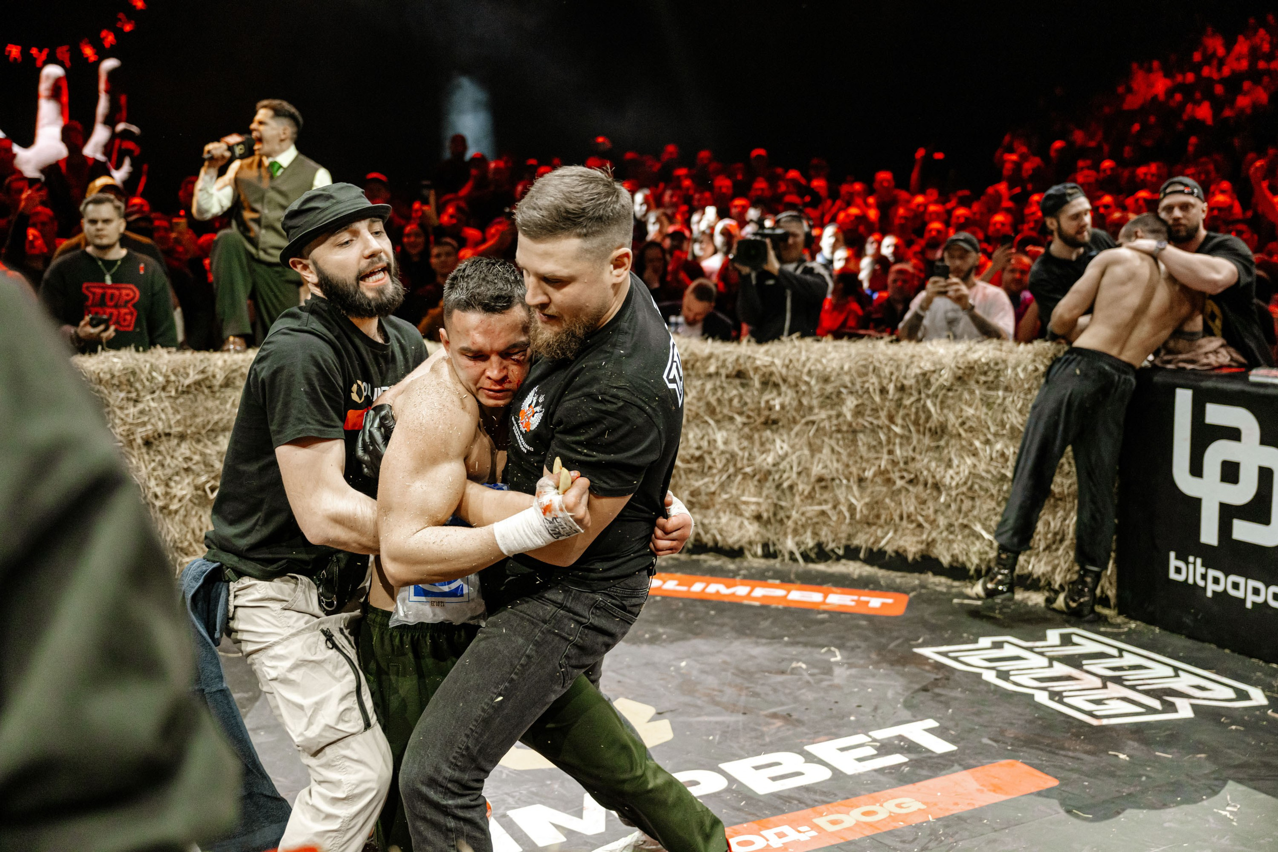 TOP DOG. Максим Комаров — Профессиональный фотограф