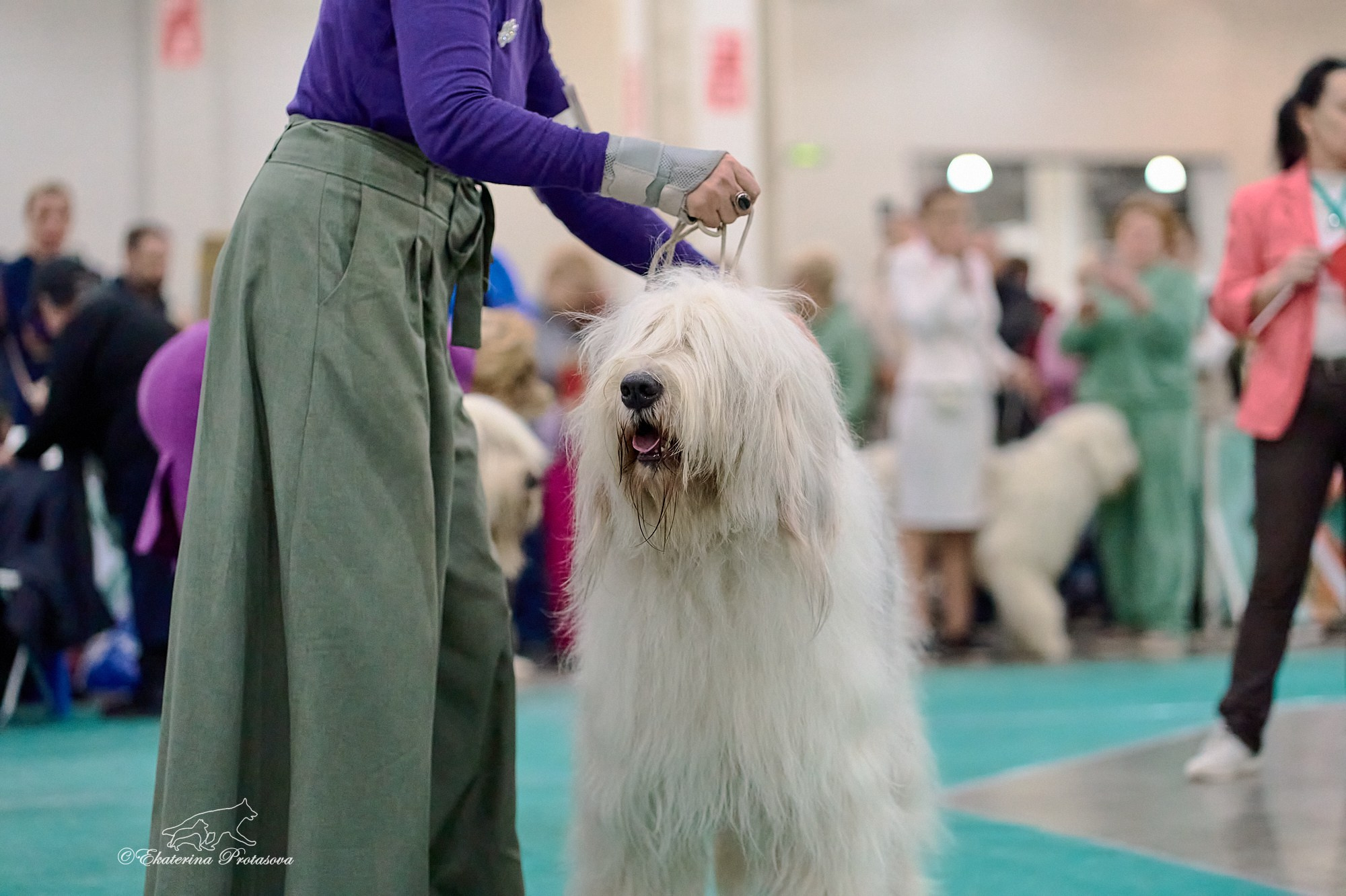 Евразия — 2024. Фотограф-анималист в Иркутске