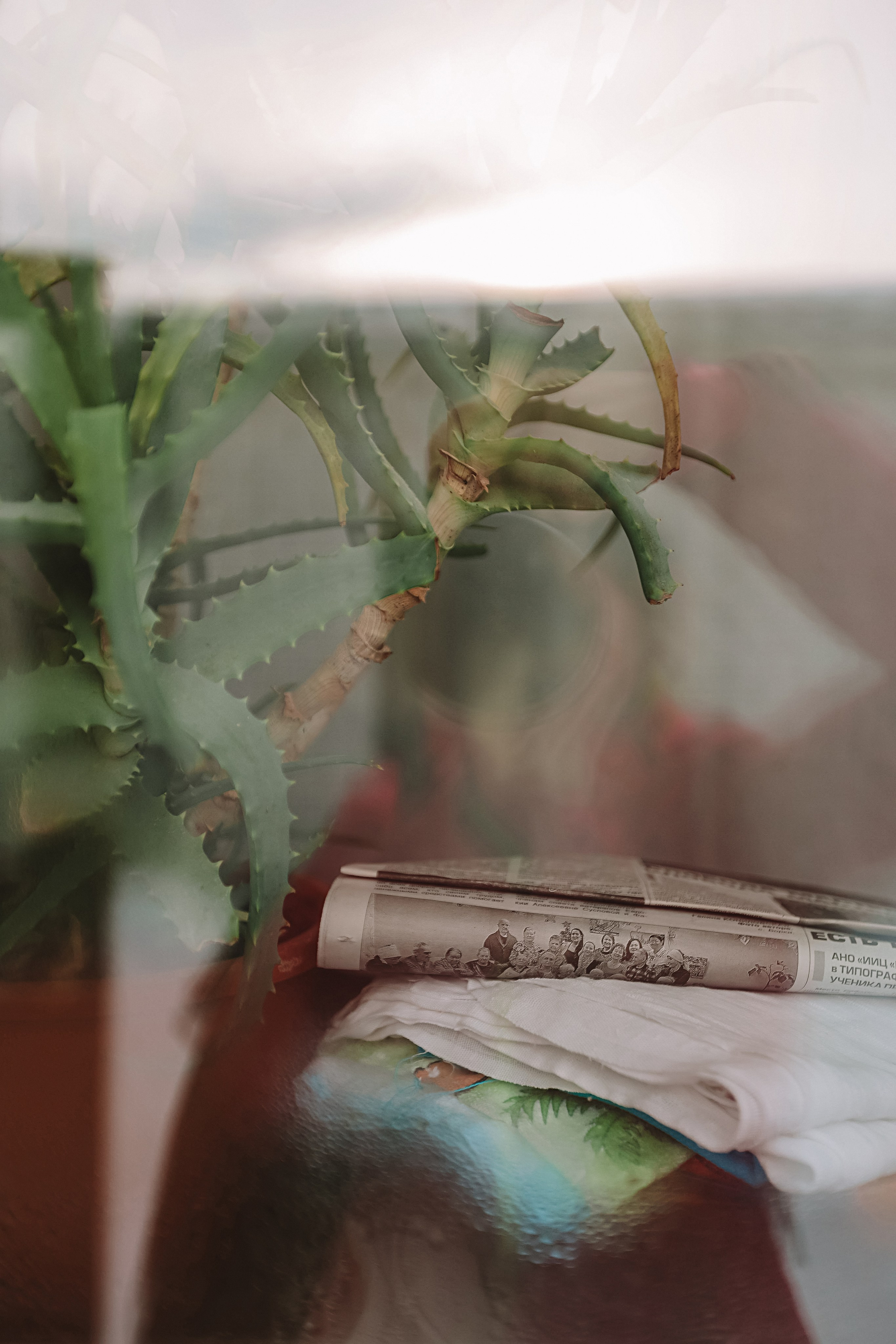 Большая семья репортаж. Семейный фотограф Тюмень, фотограф на роды Салмина Мария