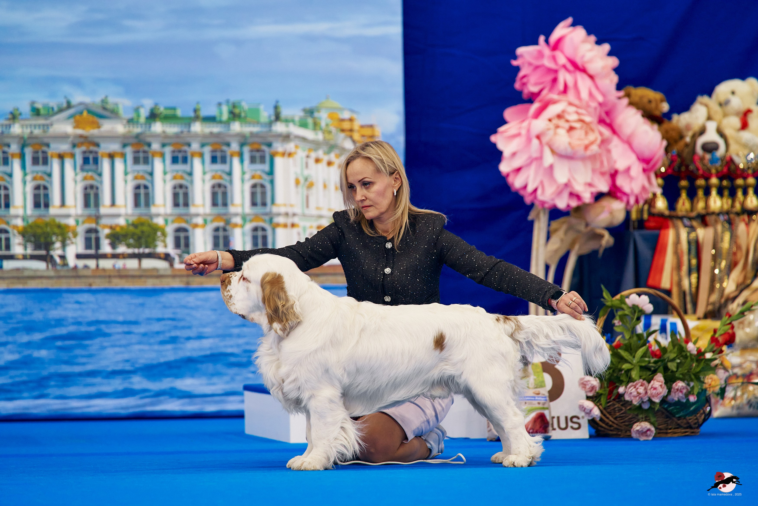 27.04.2025 | "Петербург-Элита 2025" & «КУБОК «ЭЛИТЫ»-2025»