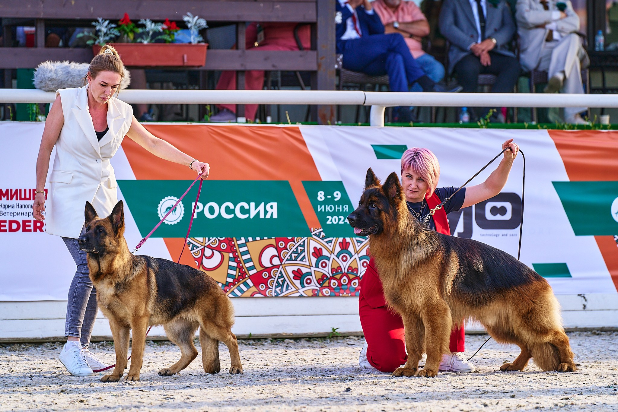 08.06.2024 «РОССИЯ. КУБОК РКФ 2024»