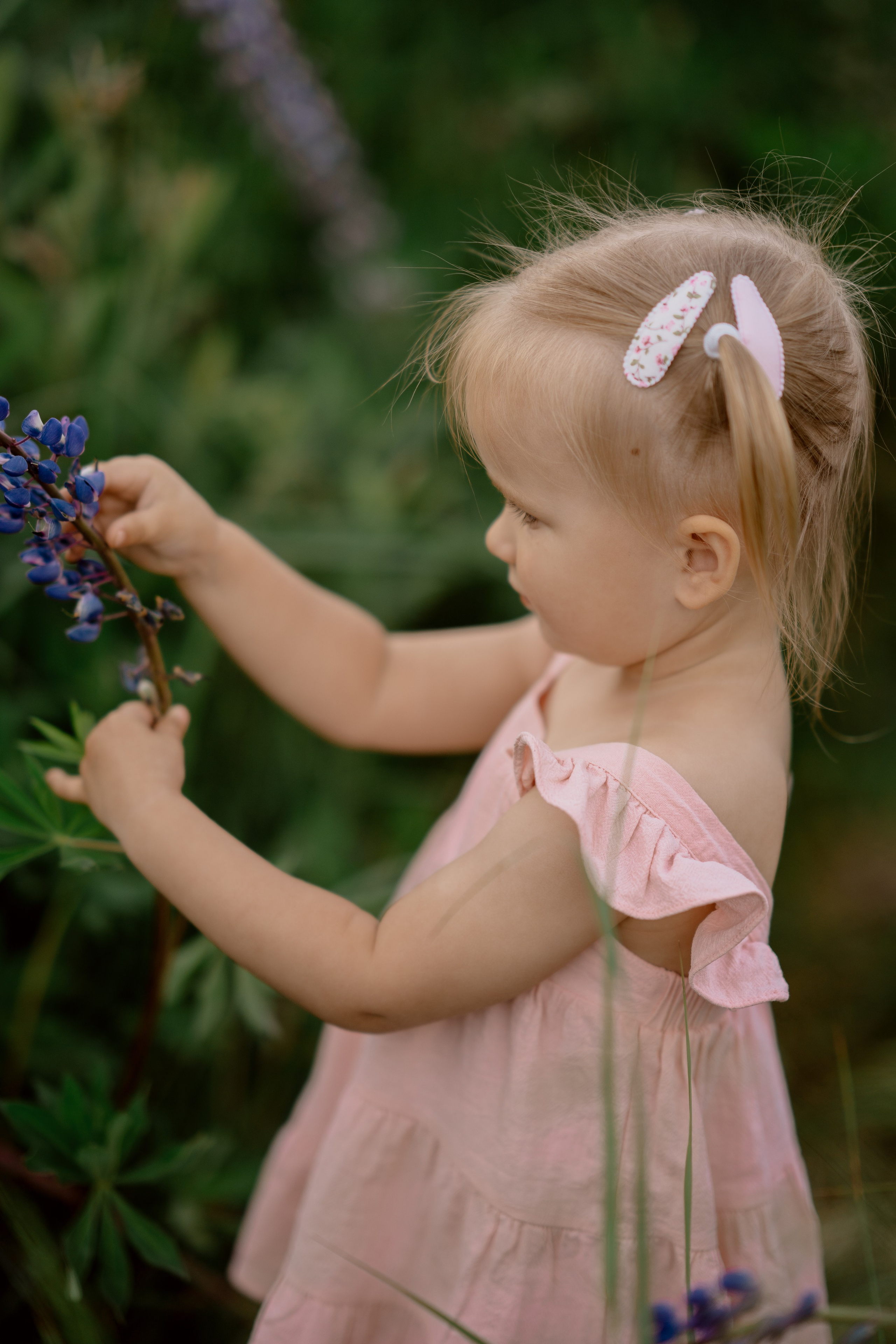 Фотосессия в люпинах. Анюта с мамой и папой. Семейный и детский фотограф в Сергиев Посаде, Хотьково Якимчук Любовь