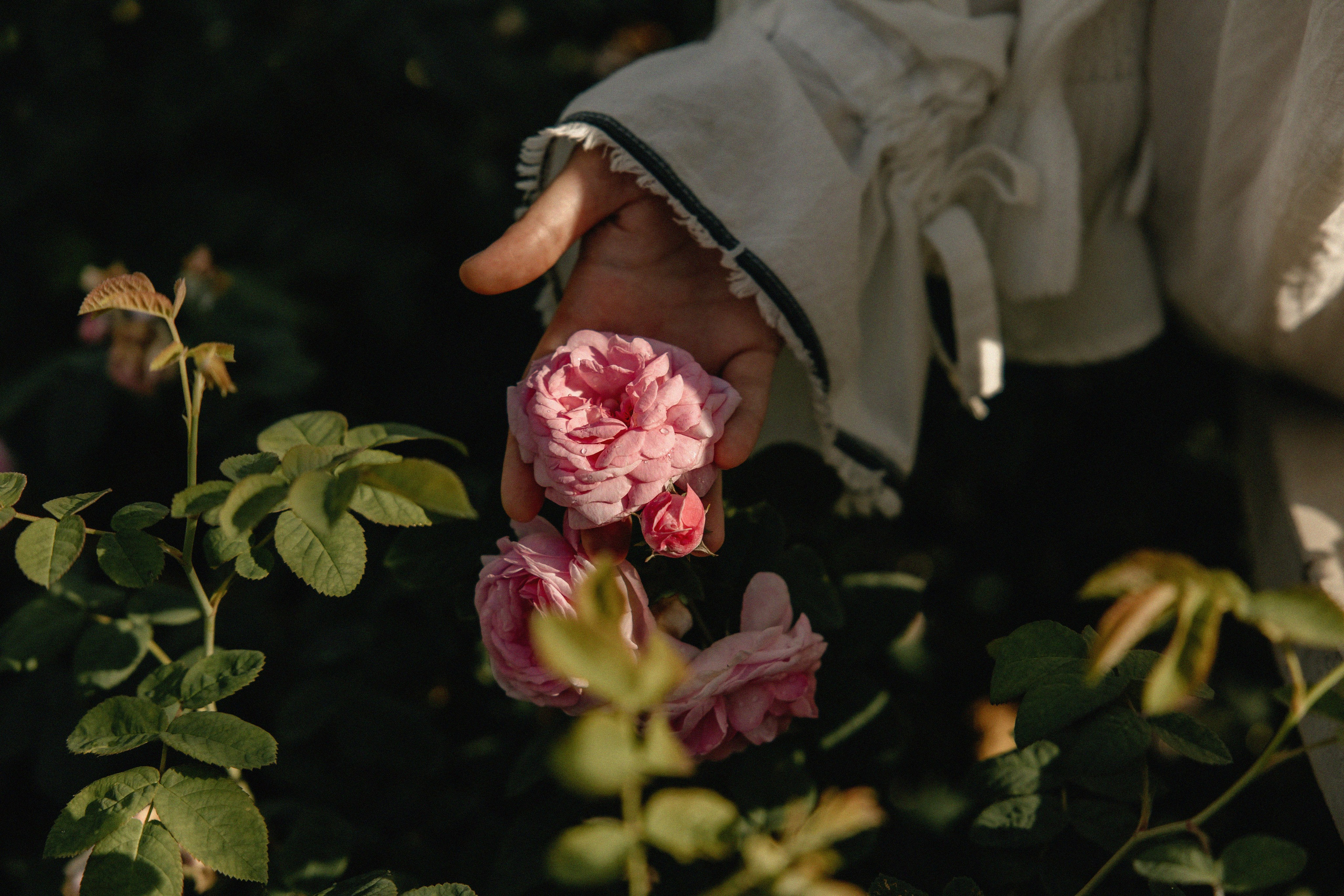 . Фотограф Арина Елизарова