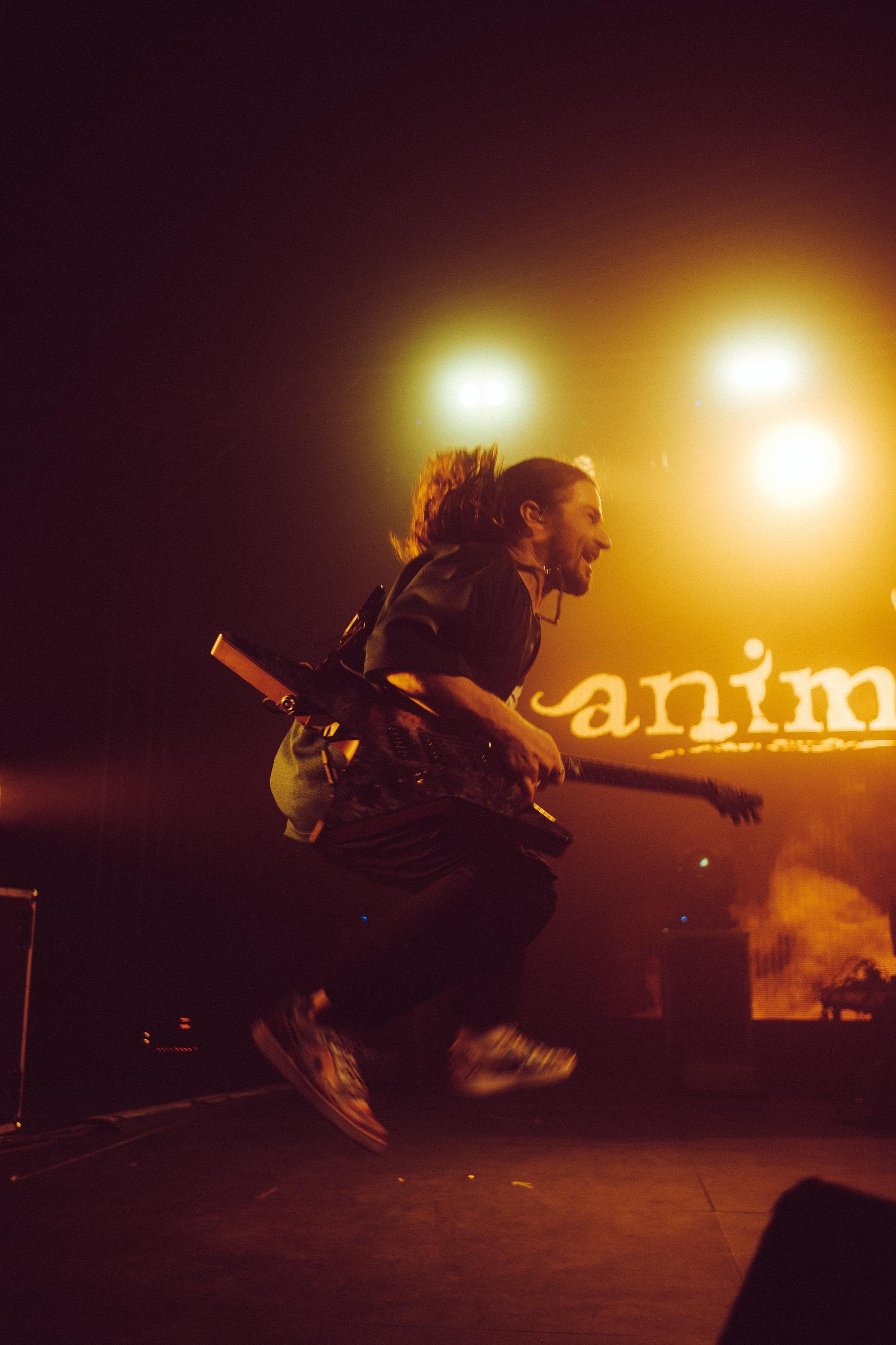 Animal ДжаZ. Репортажный и портретный фотограф в Москве Илья Спиридонов