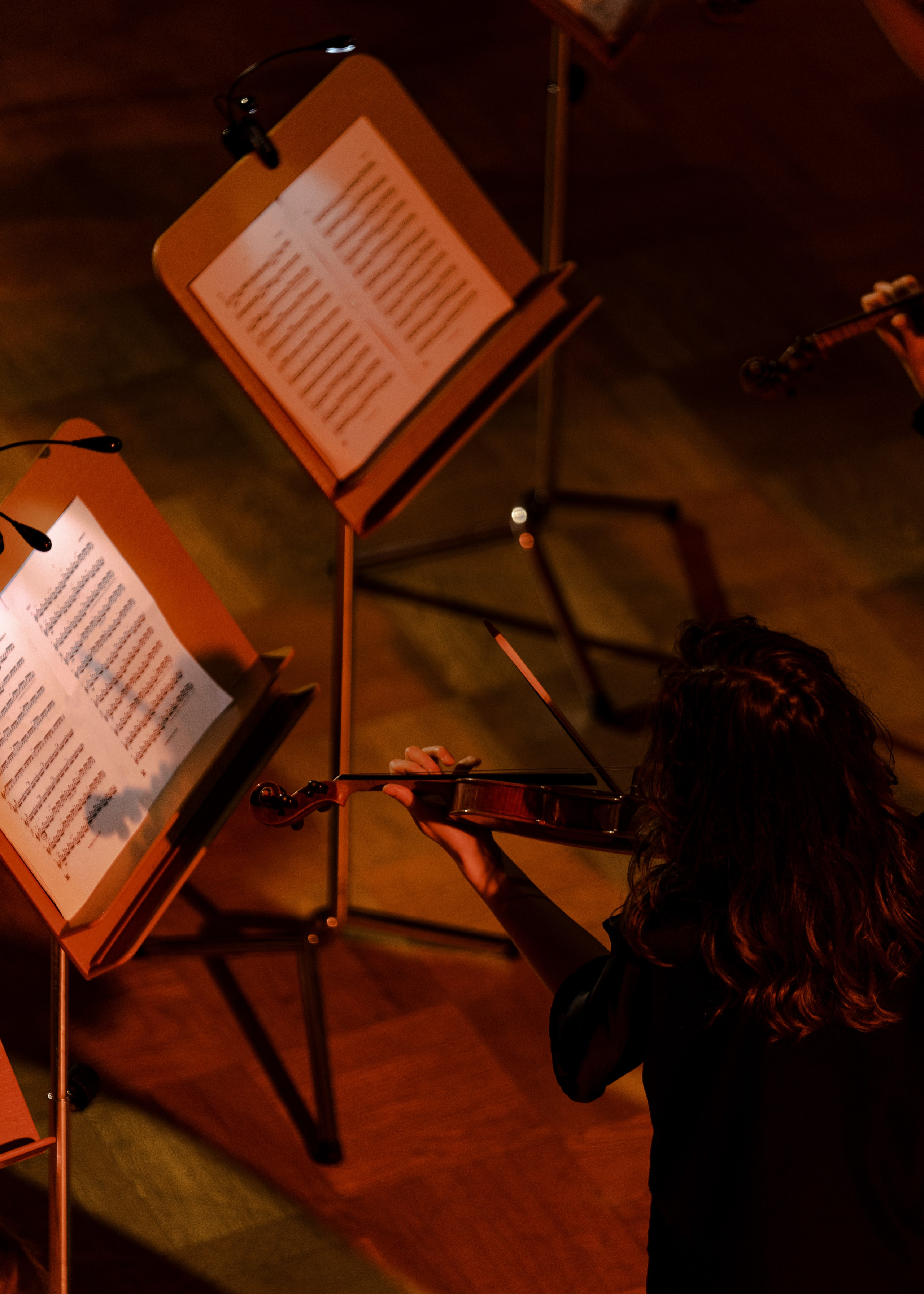 The St. Petersburg Philharmonia. The Night of Museums. Фотограф Ирина Соколенко Санкт-Петербург