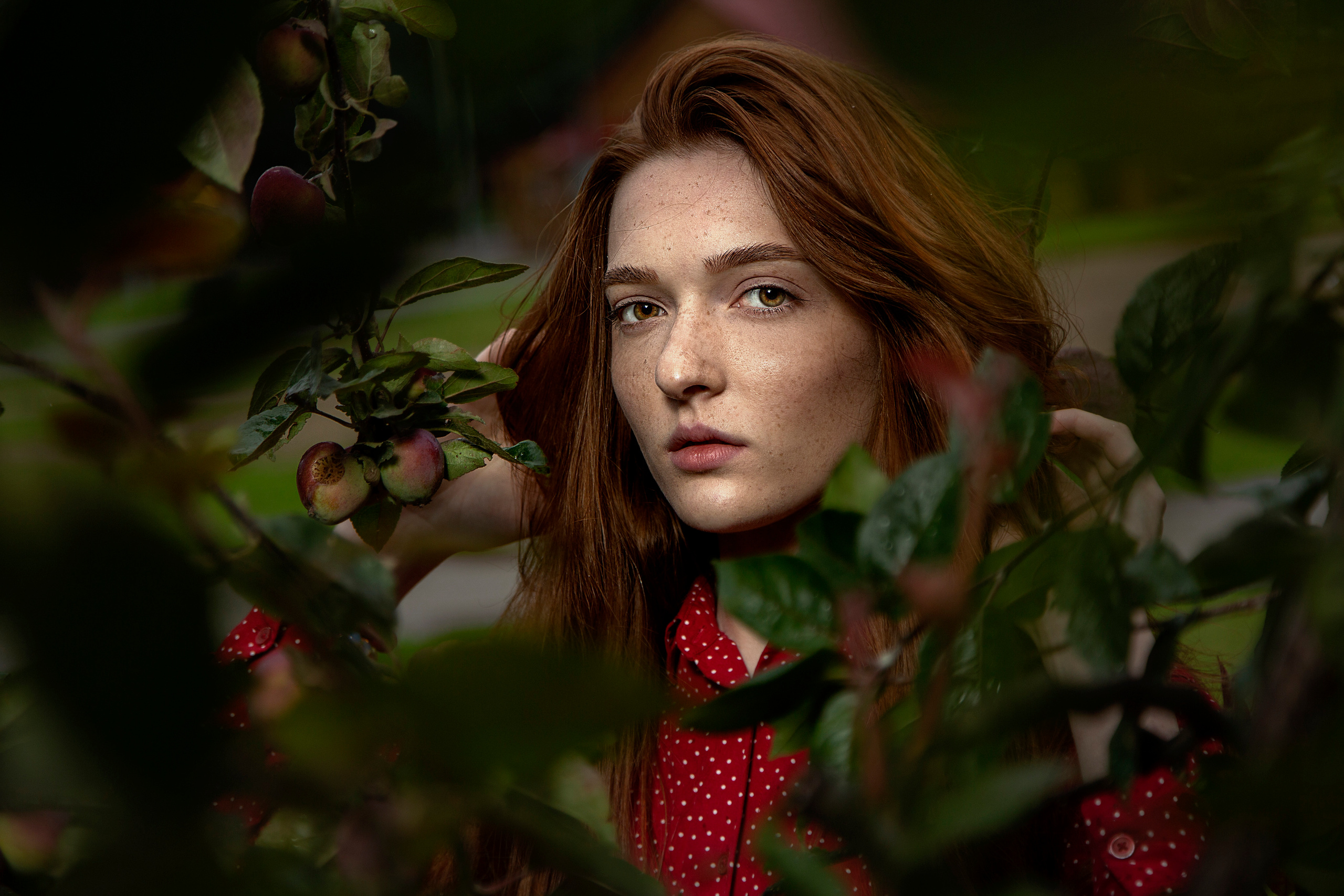 Ginger. Фотограф Ulumberg Arslan