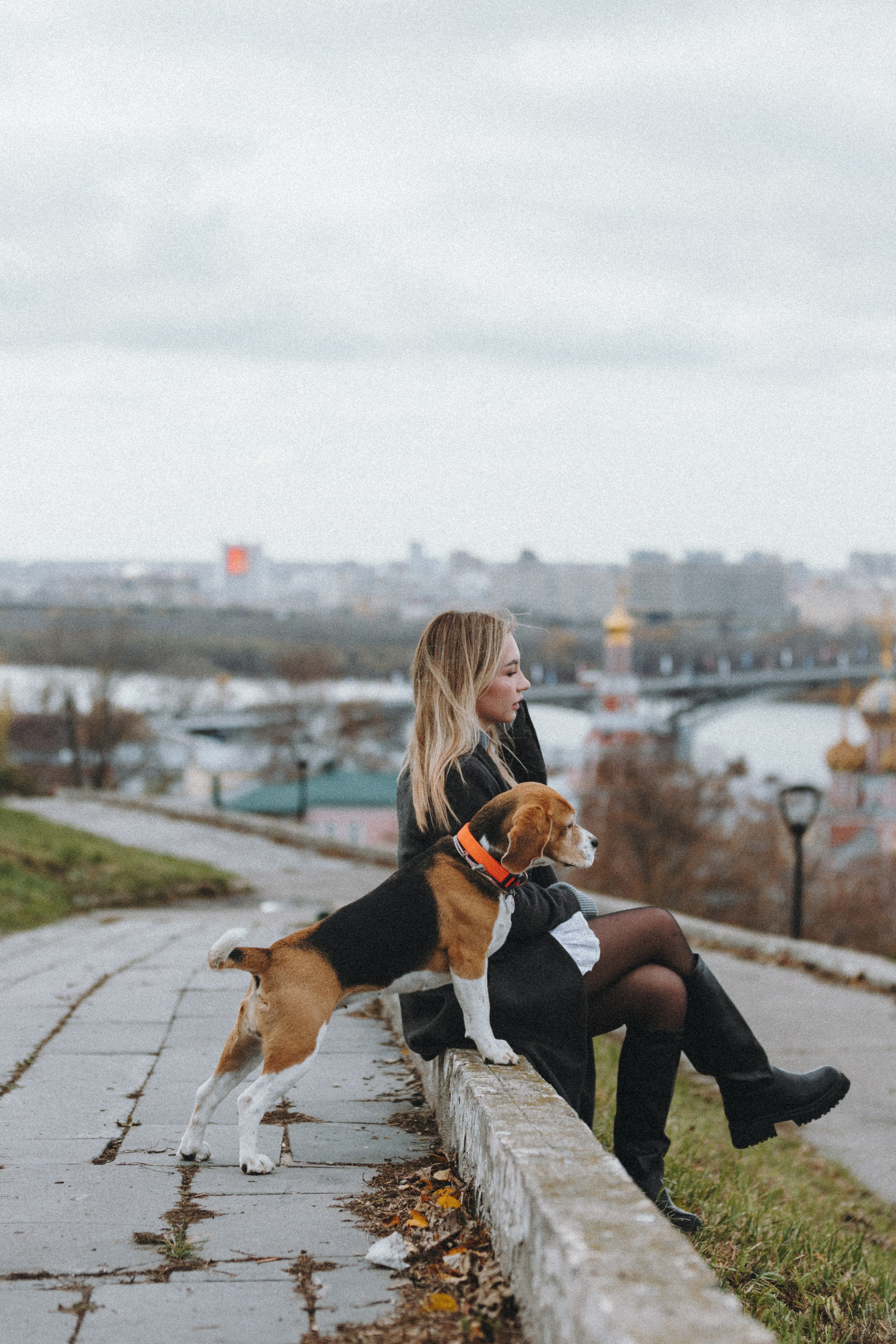 Фотограф — анималист Светлана Кысса|фотограф собак в Краснодаре и Нижнем Новгороде