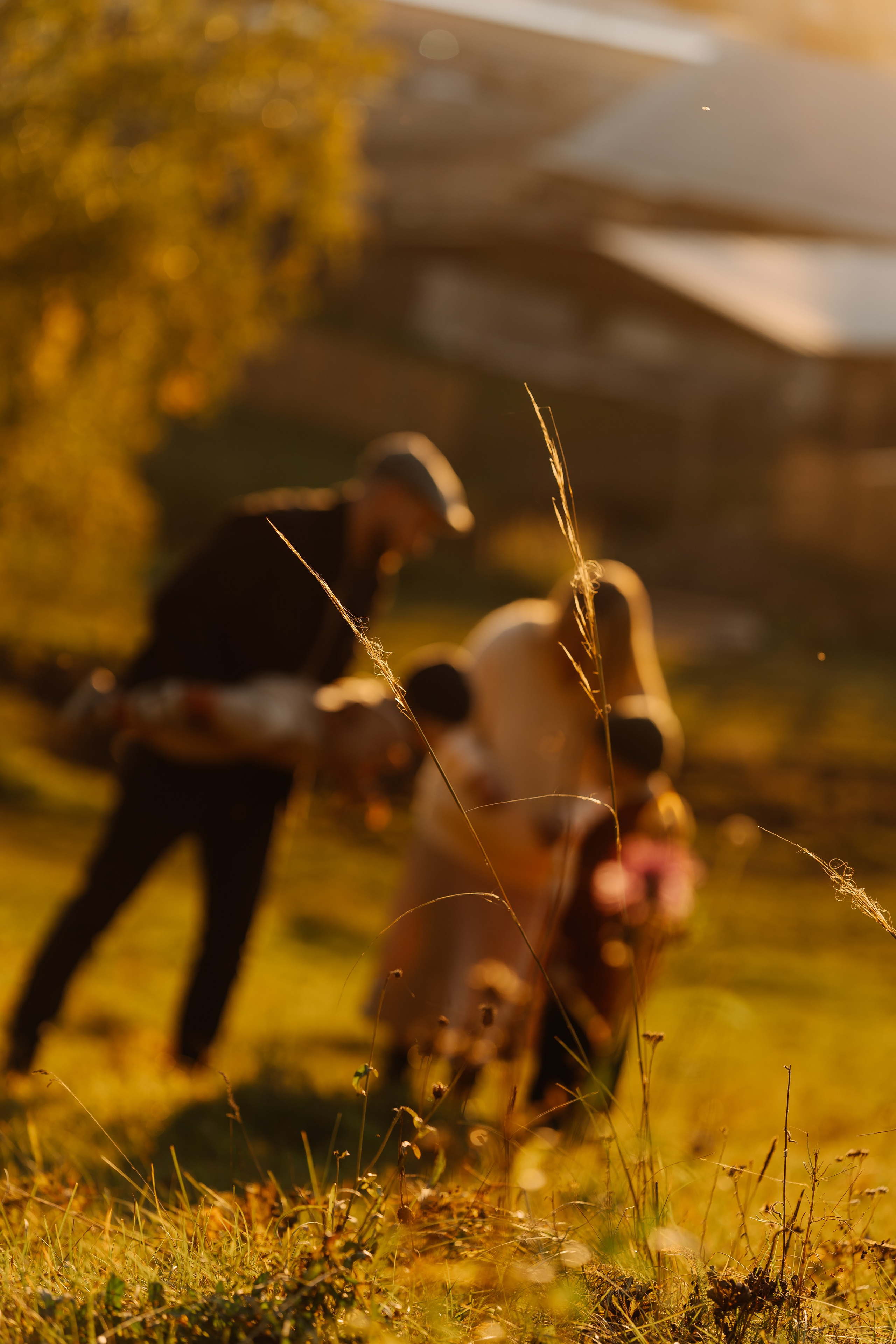 Андрей и Дарья. СВАДЕБНЫЙ ФОТОГРАФ КРАСНОЯРСК