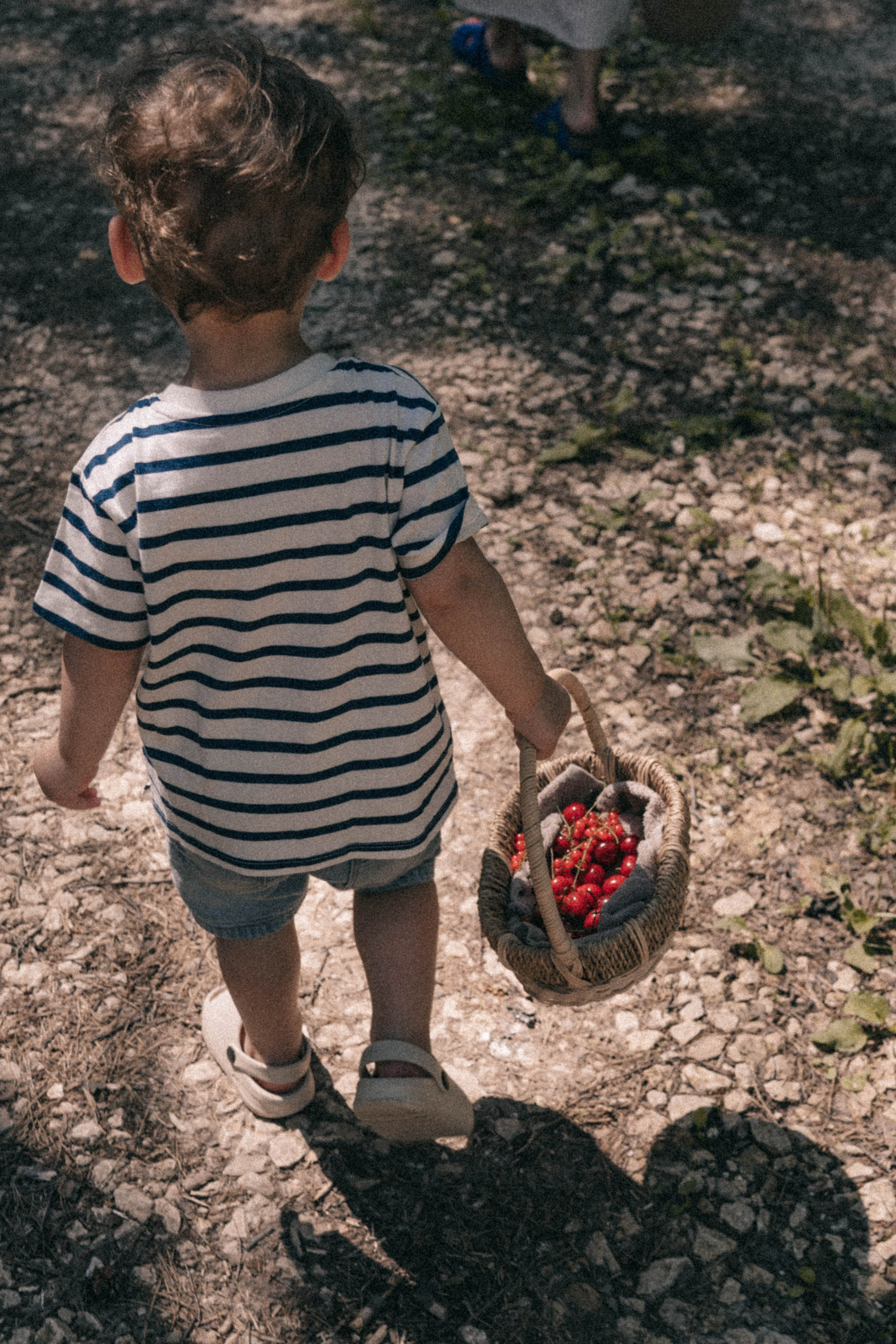 До луны и обратно. Семейный и свадебный фотограф