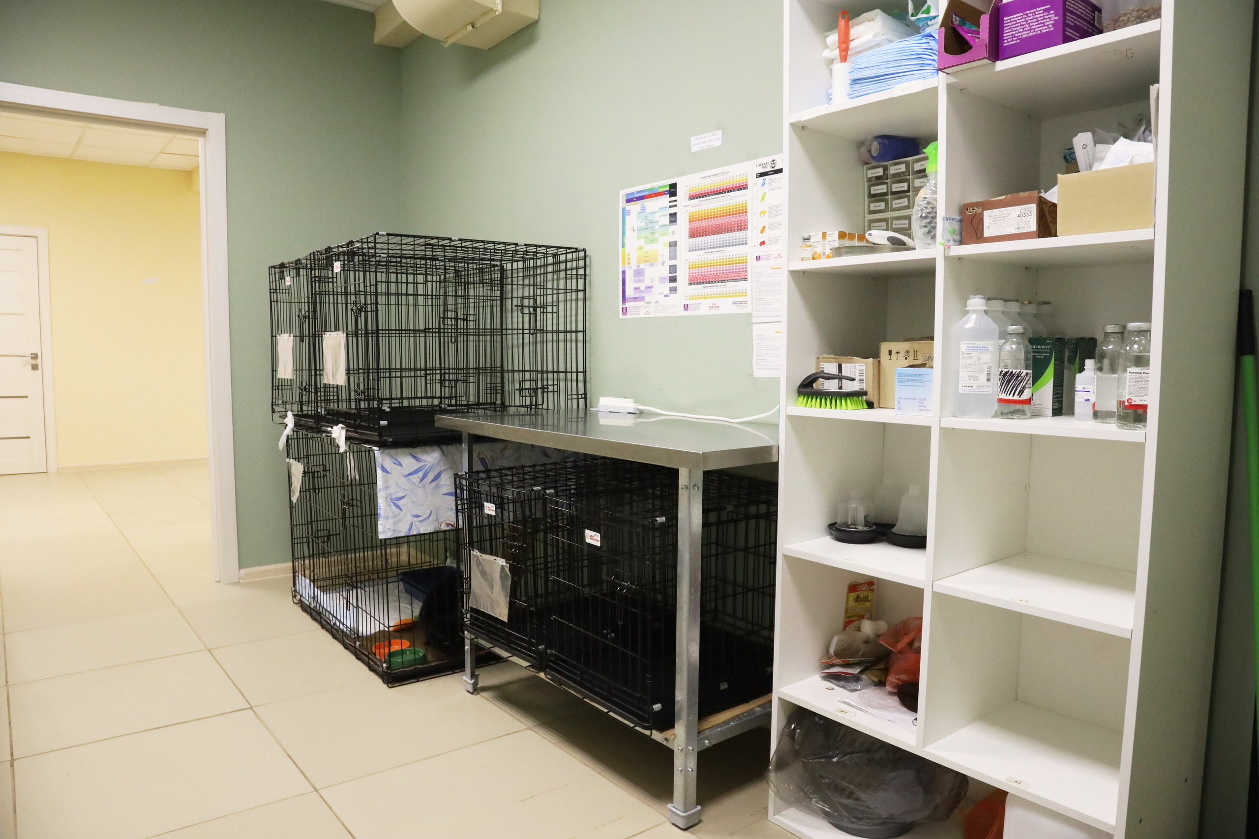 Ветеринарная клиника «Мокрый нос». Фотограф Сергей Феденко