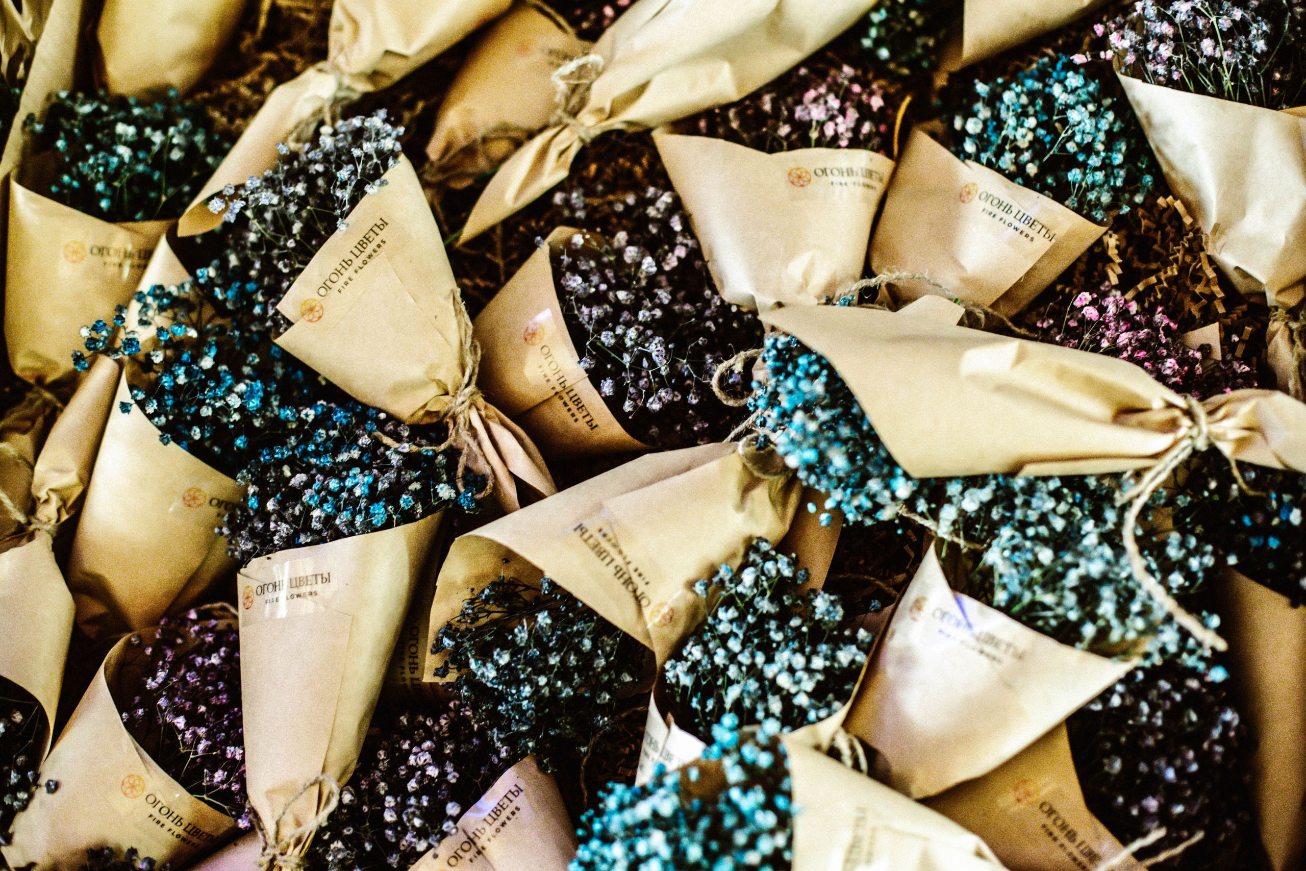 Кармабал. Фотограф в Нижнем Новгороде