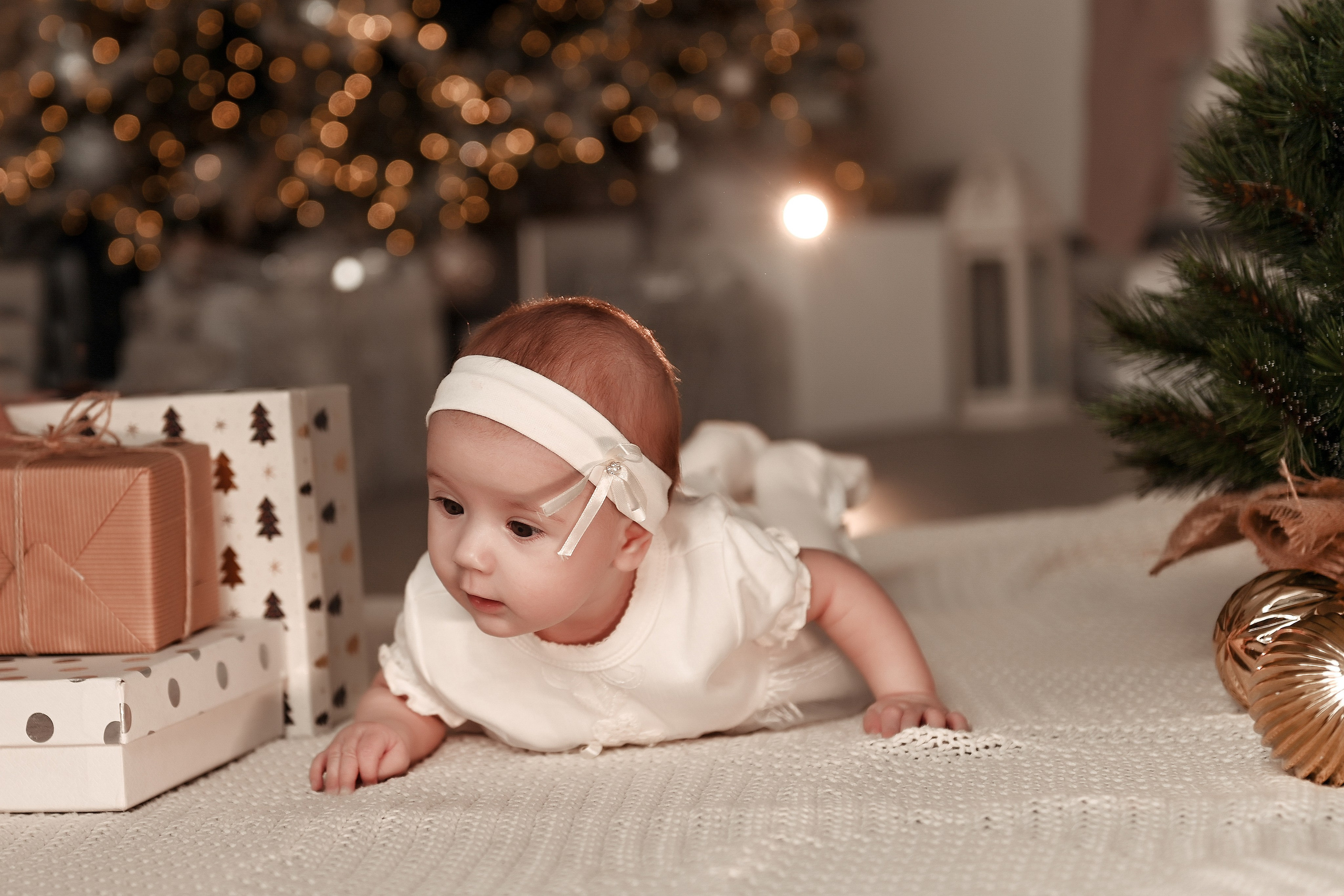 Новогодняя семейная. Свадебный, семейный, детский, контент фотограф в Омске Максим Ильин