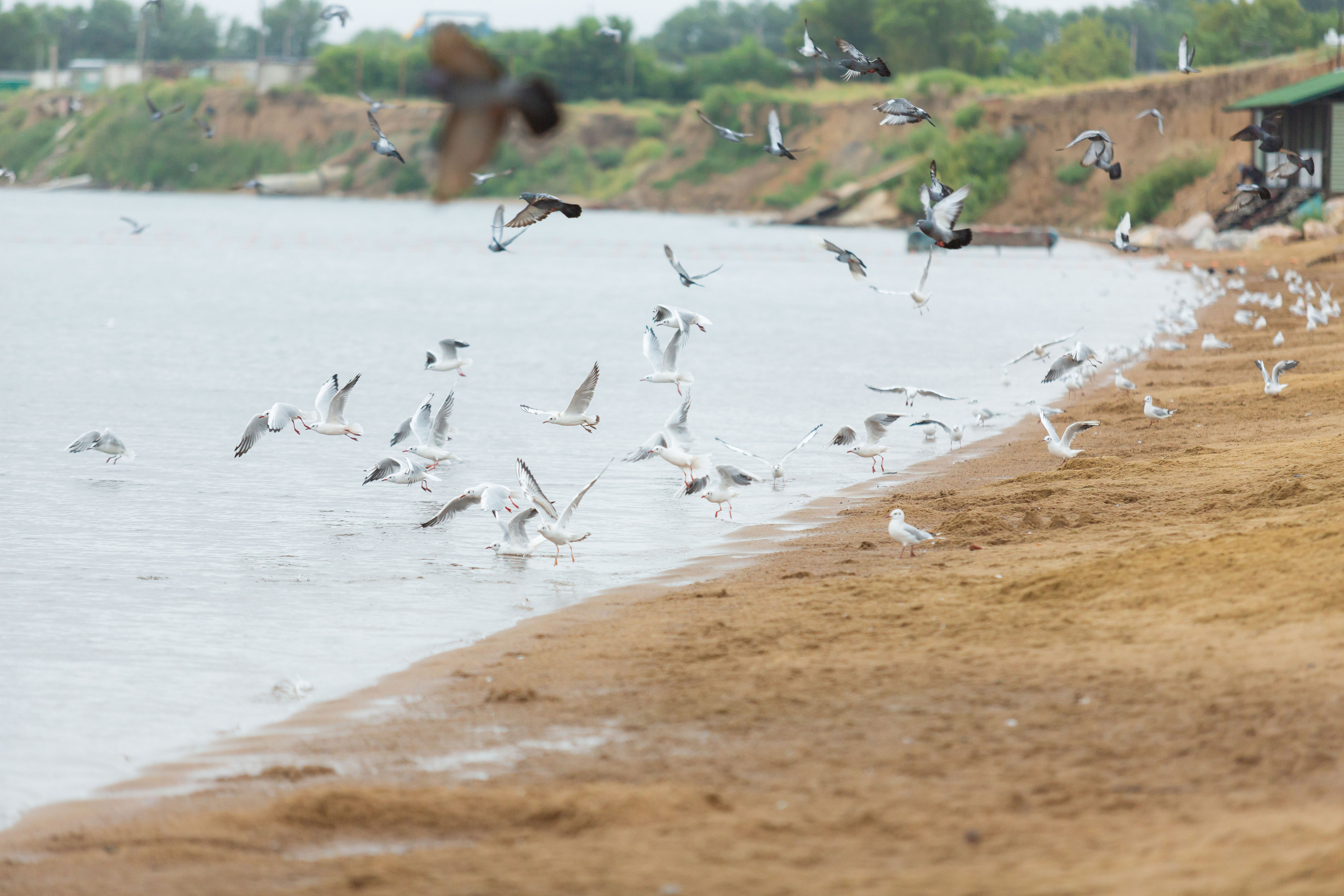Природа. Семейный и детский фотограф, фотограф новорожденных в Новокузнецке Ири