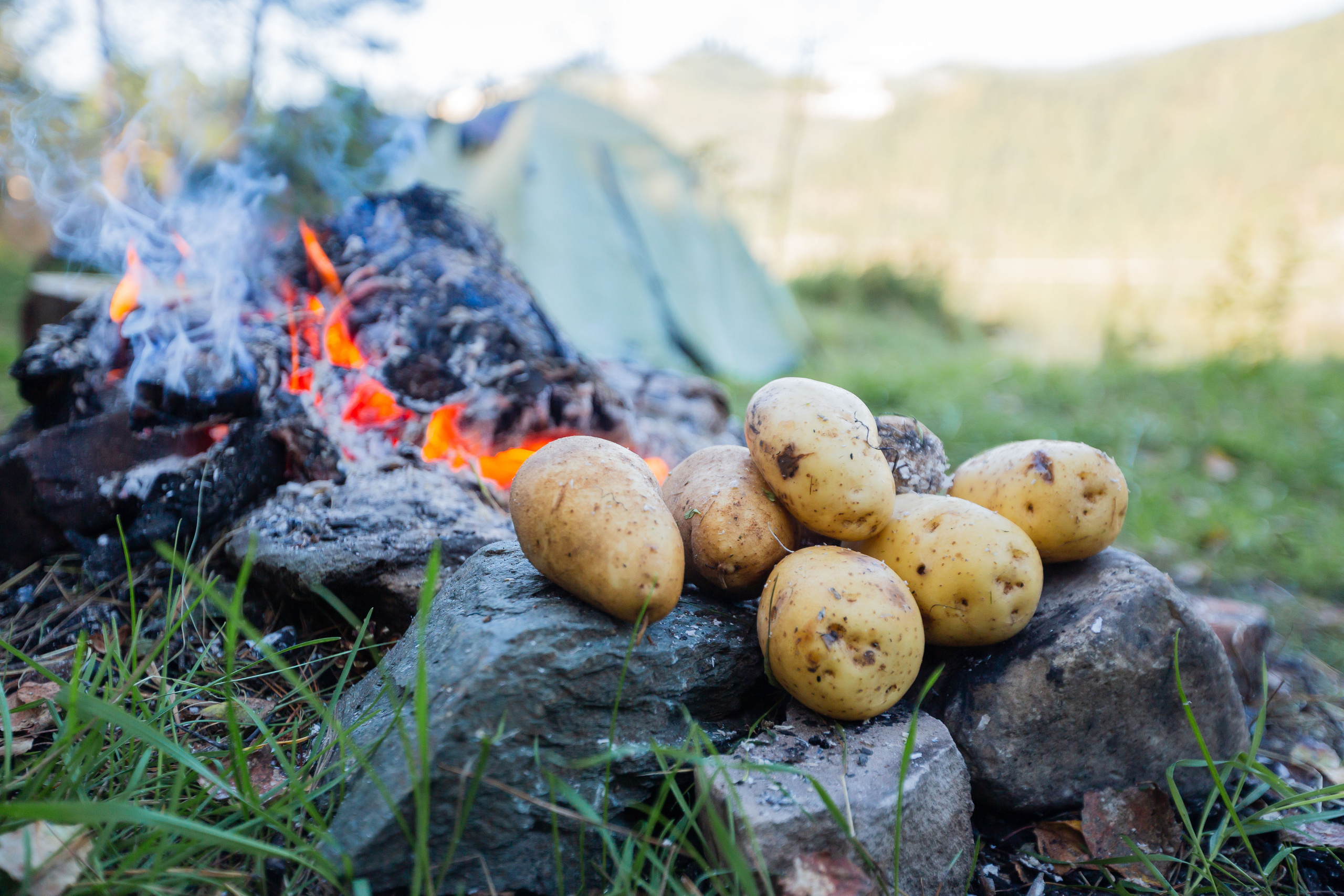 Природа. Семейный и детский фотограф, фотограф новорожденных в Новокузнецке Ири