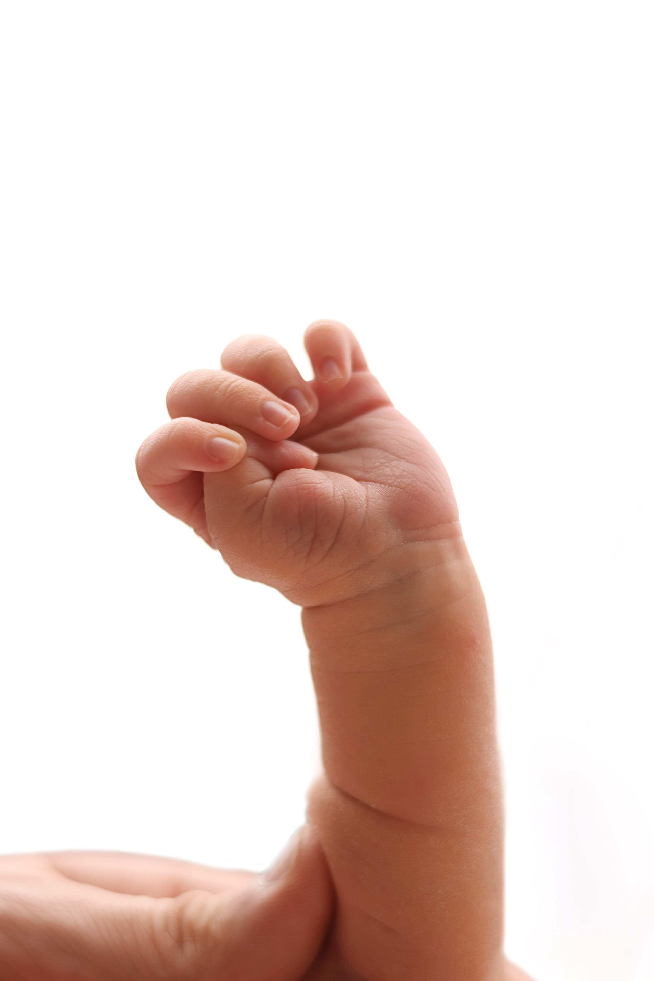 Фотограф новорожденных в Москве Светлана Столярова. Фотограф новорожденных Москва. Ньюборн фотограф Москва