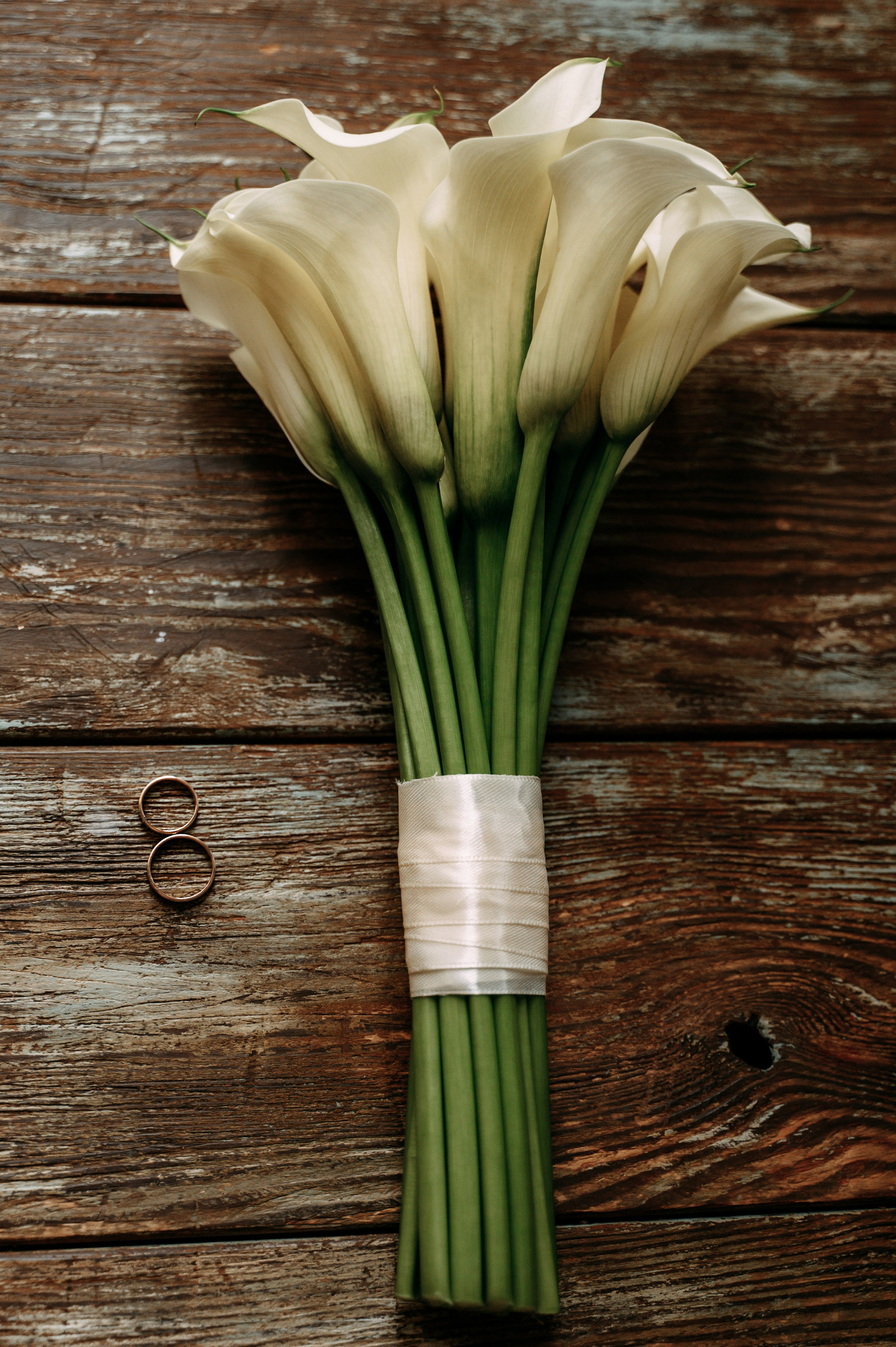 Вероника и Александр. Свадебный фотограф, фотограф беременности Дарья Доценко