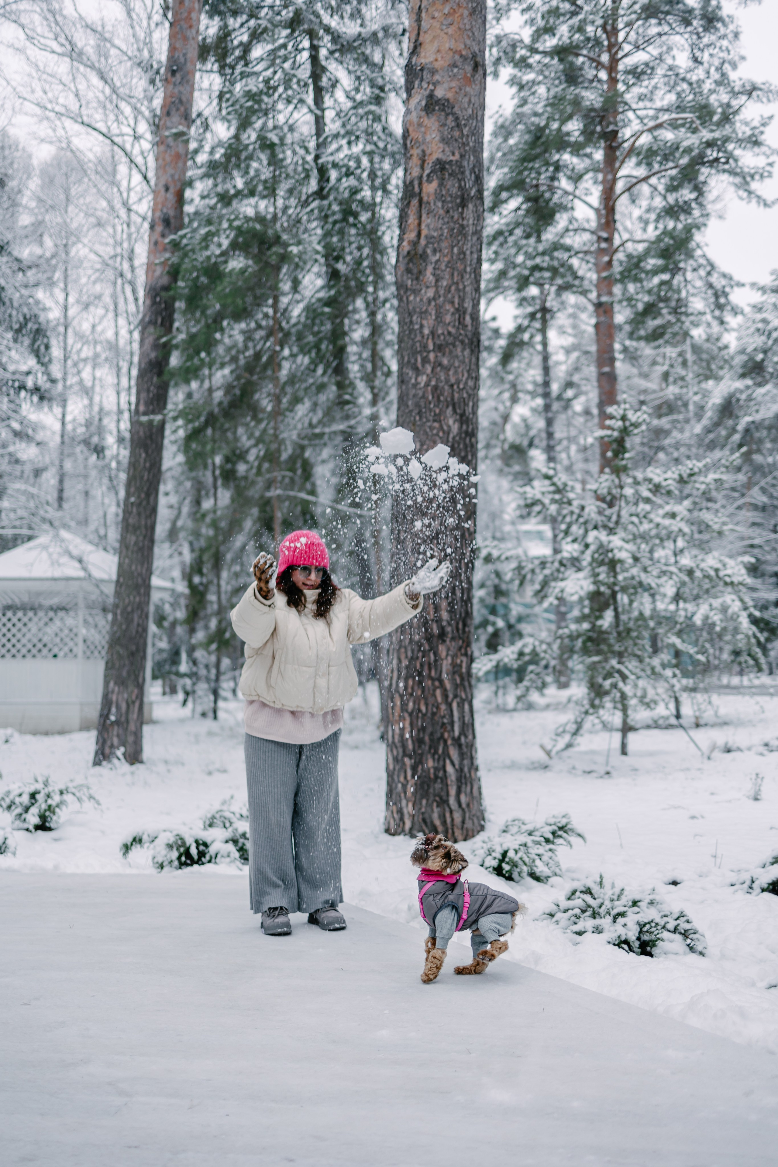 Лиза и Рикки. Фотограф-анималист в Санкт-Петербурге Алина Яхонт